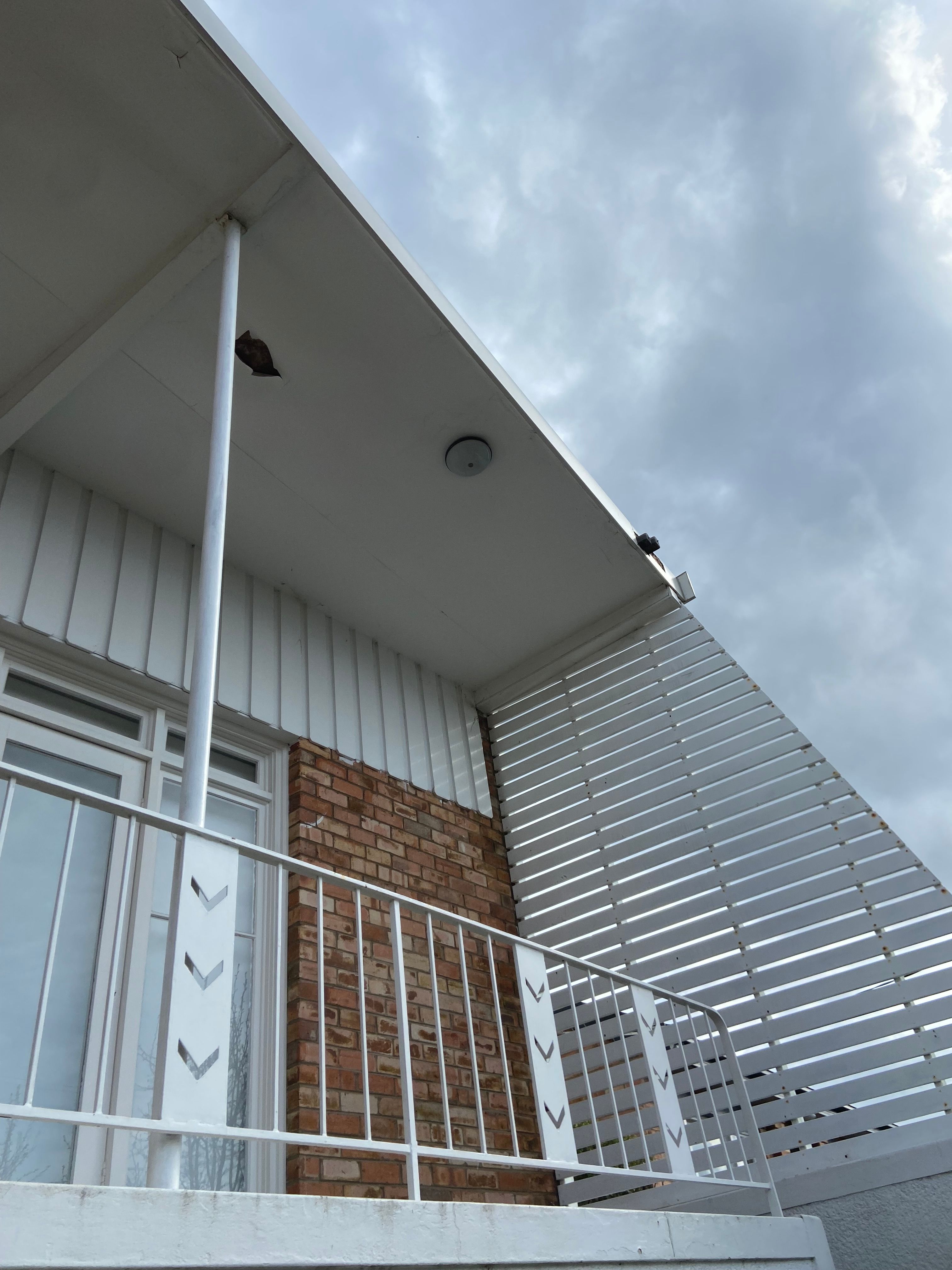 How to remove peeling paint and repaint Bunnings community