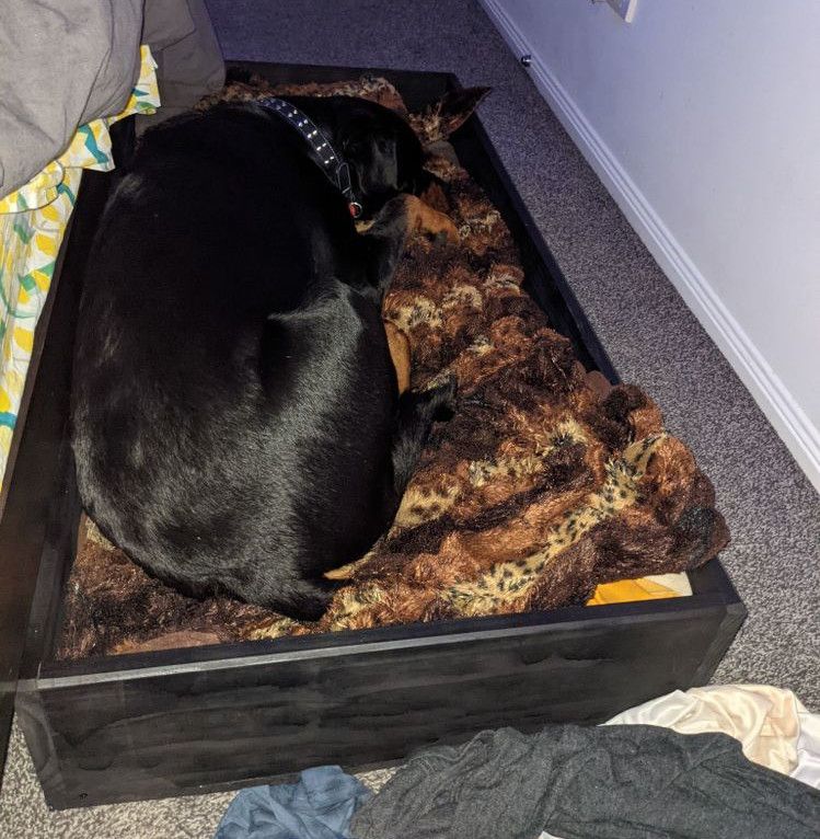 Slideout dog bed Bunnings community