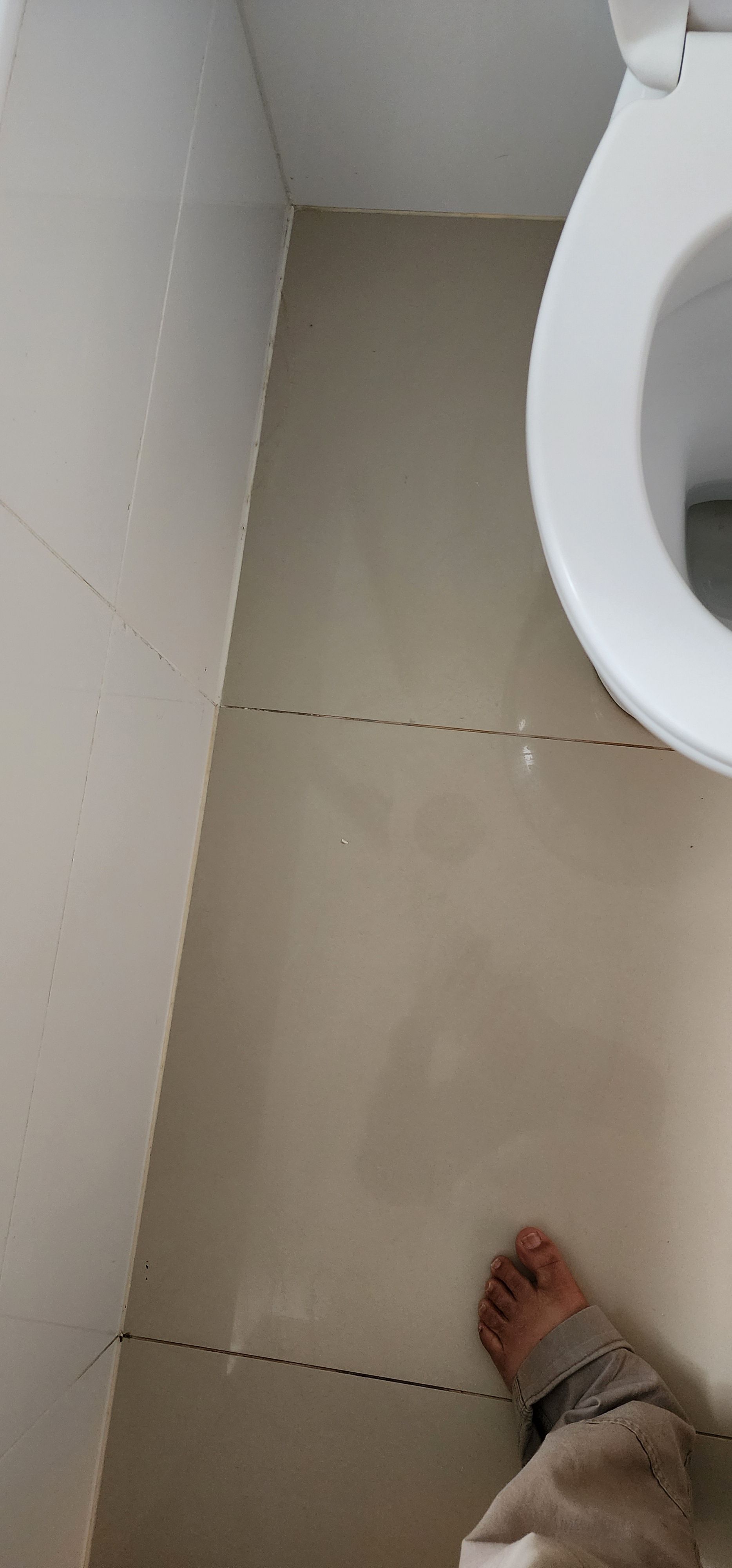 How to repair a cracked tile? Bunnings community