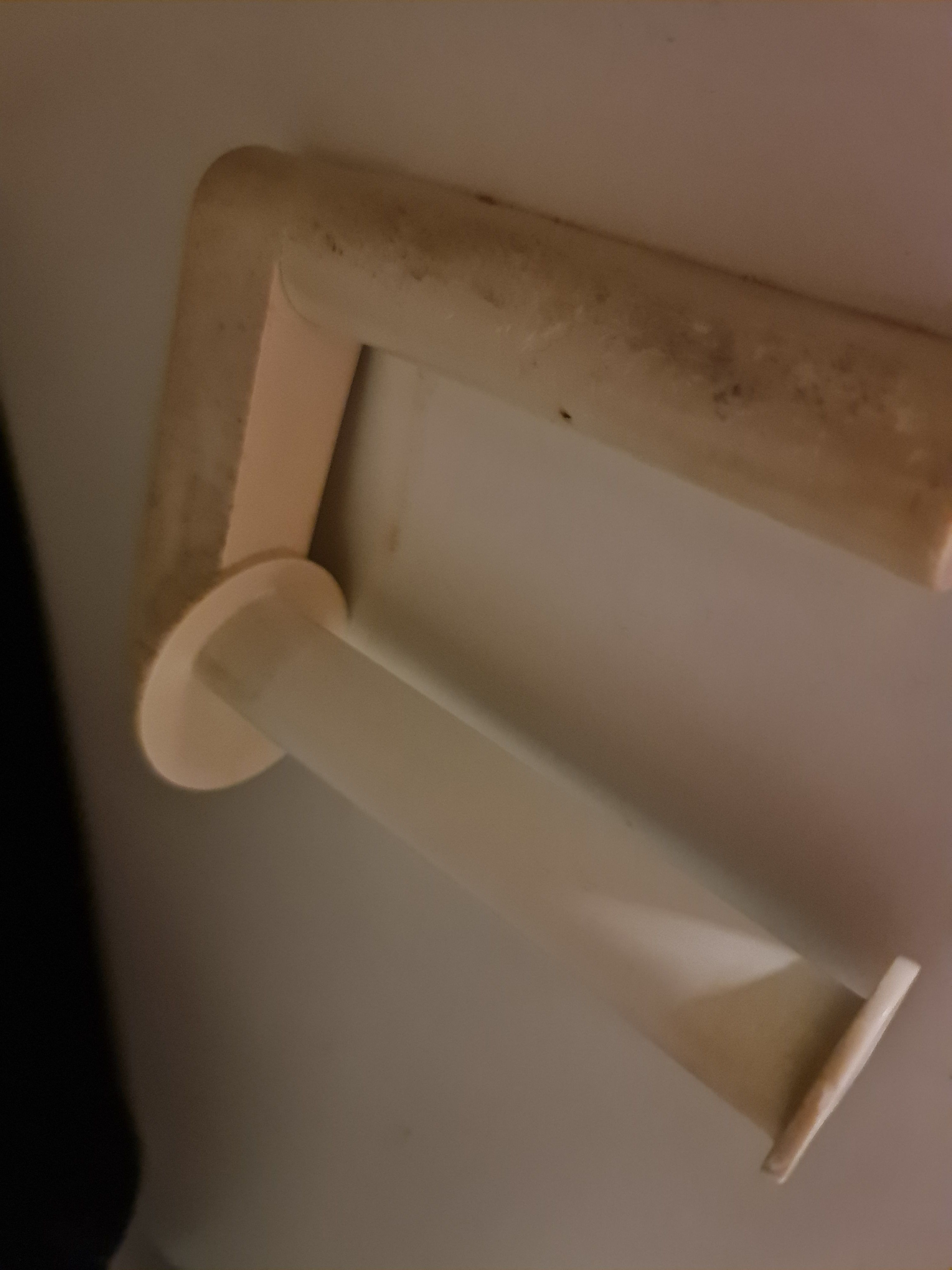 How to remove toilet paper holder? Bunnings community