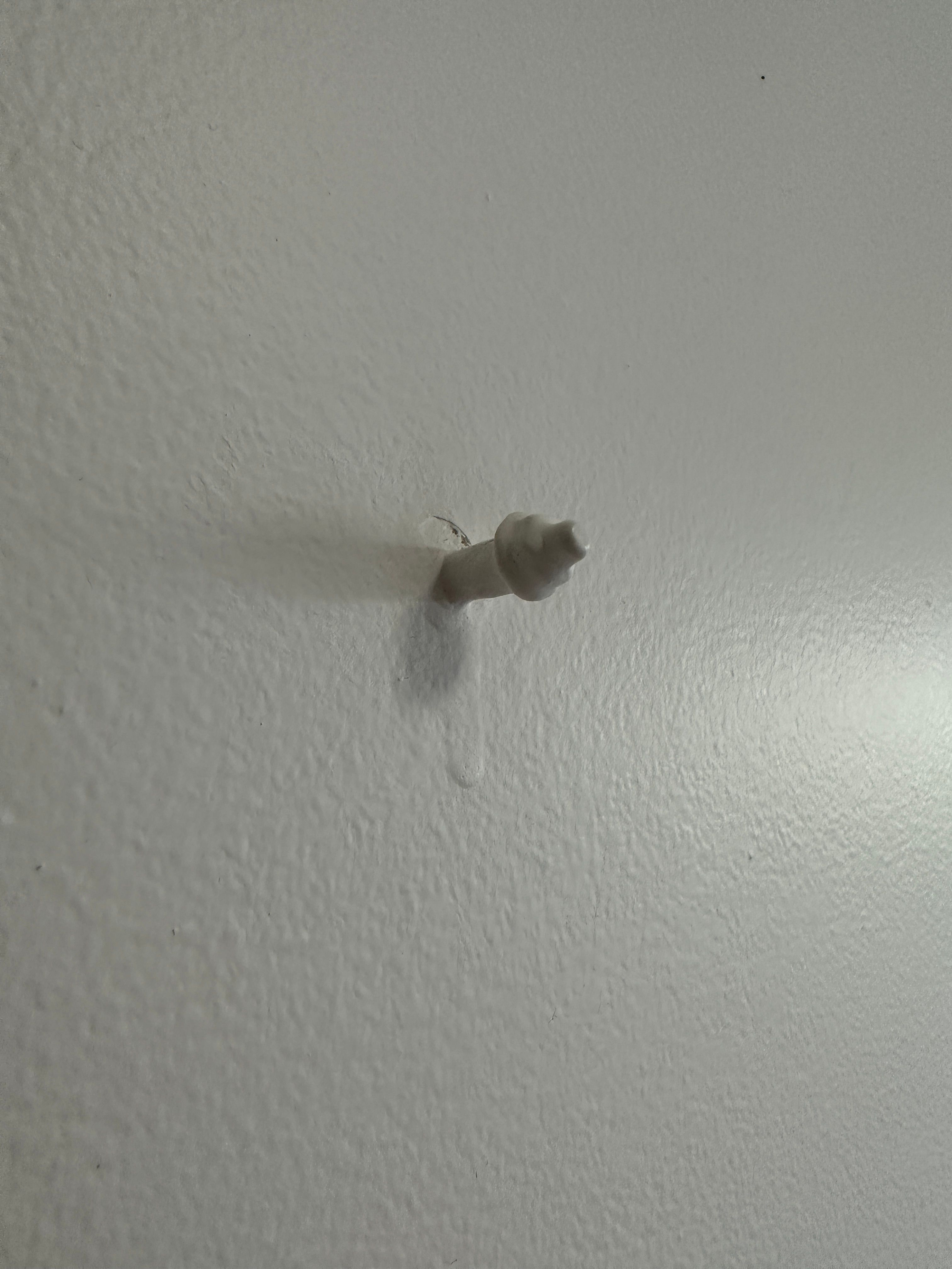 Extra bathroom hooks Bunnings community