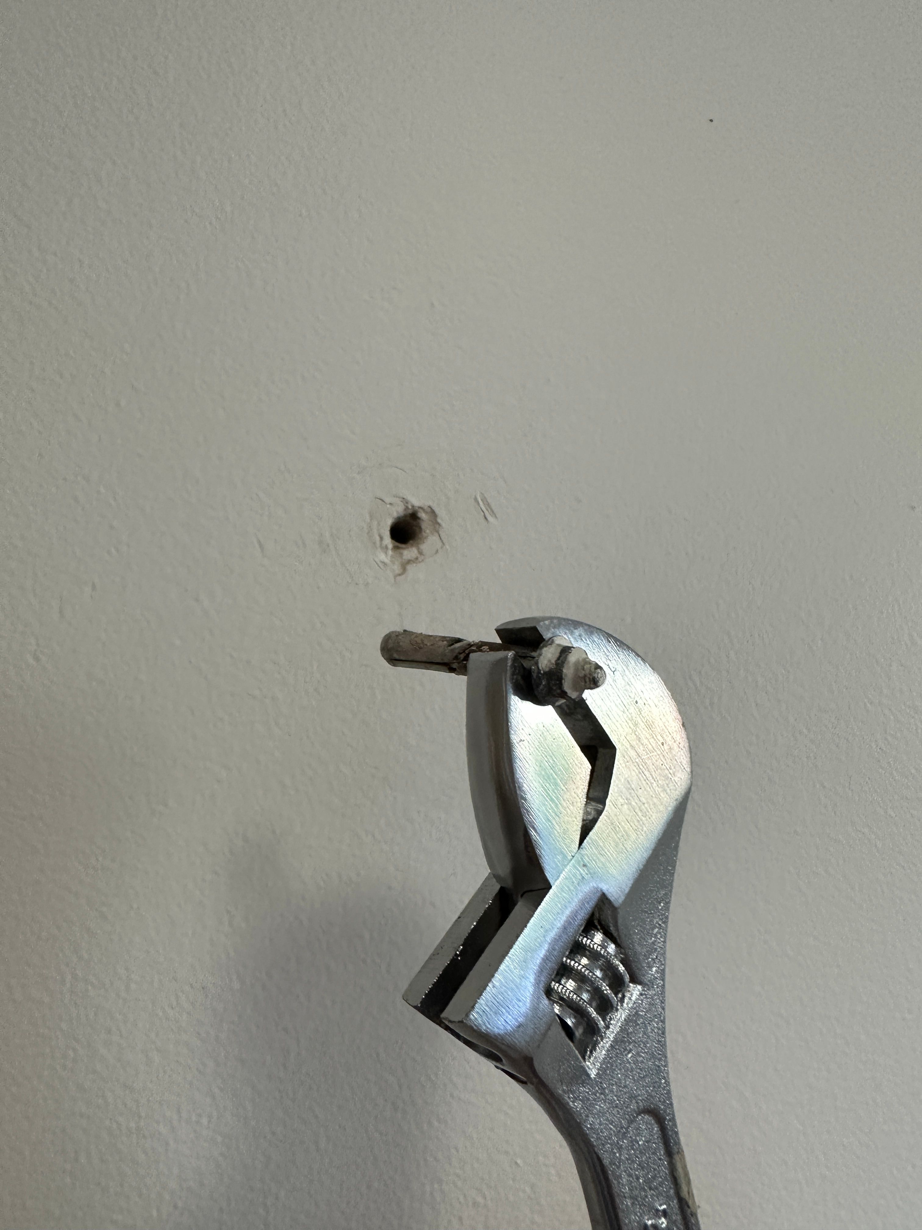 Extra bathroom hooks Bunnings community