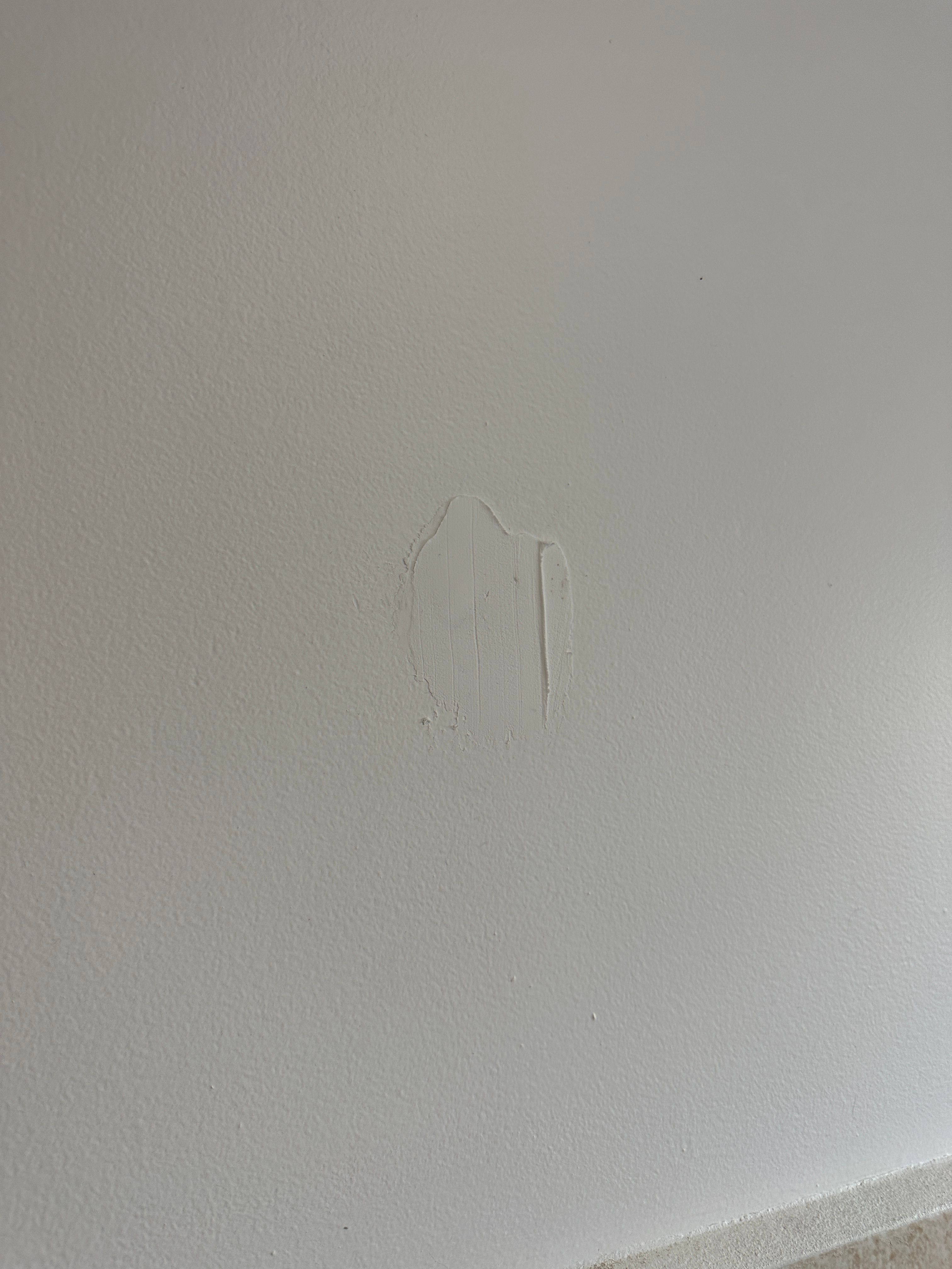 Extra bathroom hooks Bunnings community