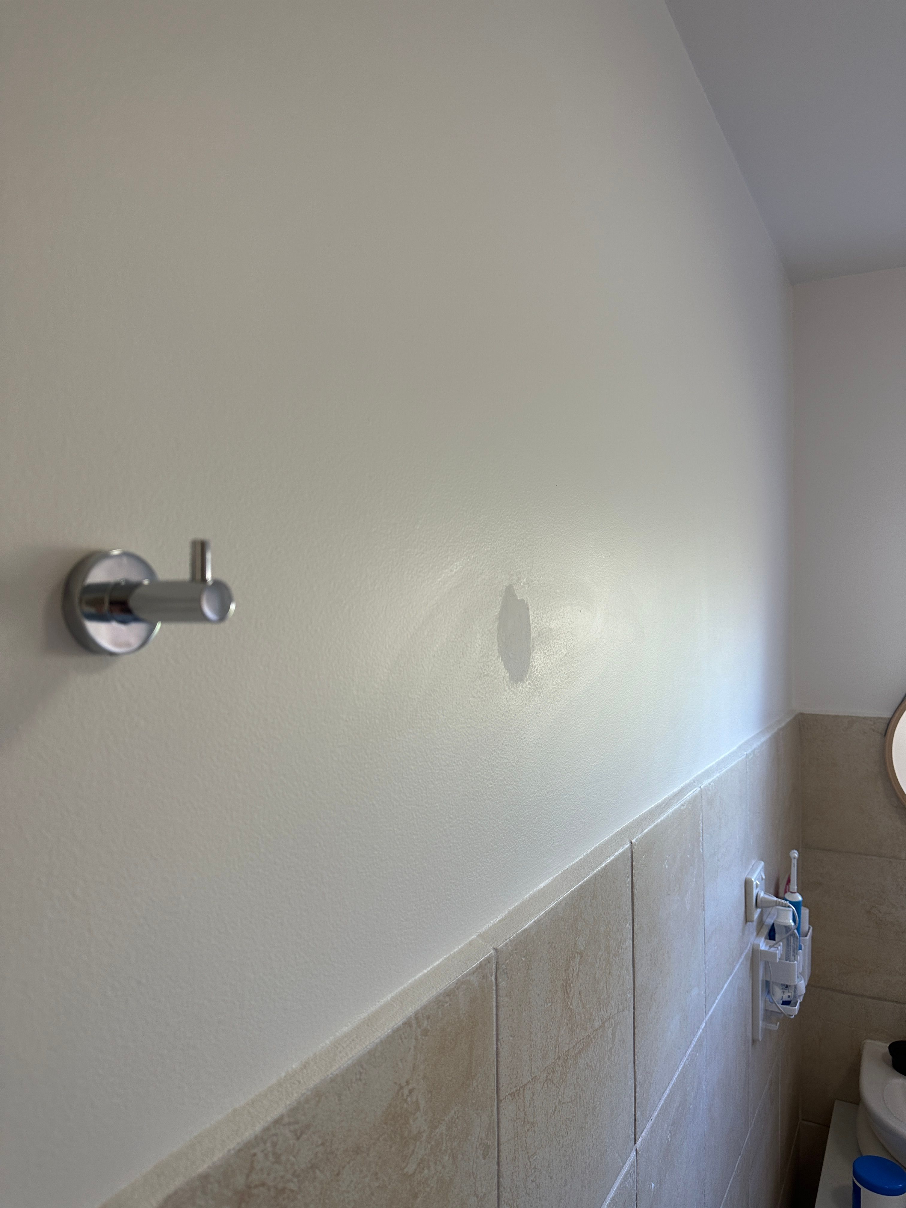 Extra bathroom hooks Bunnings community