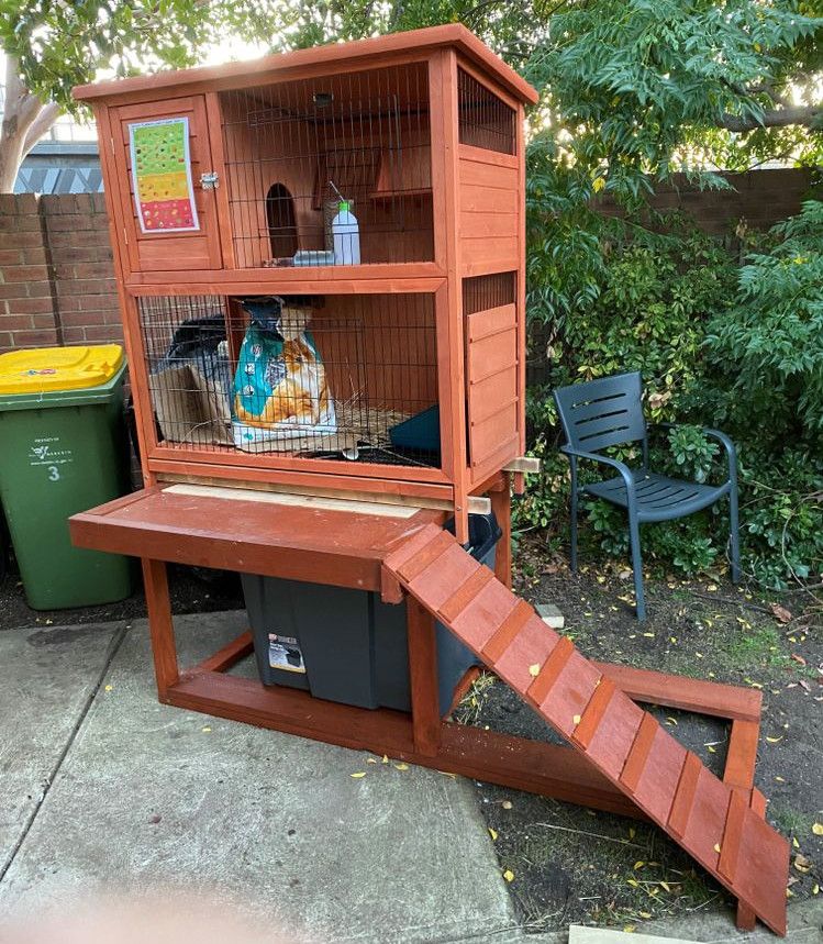 Multistorey rabbit hutch Bunnings community