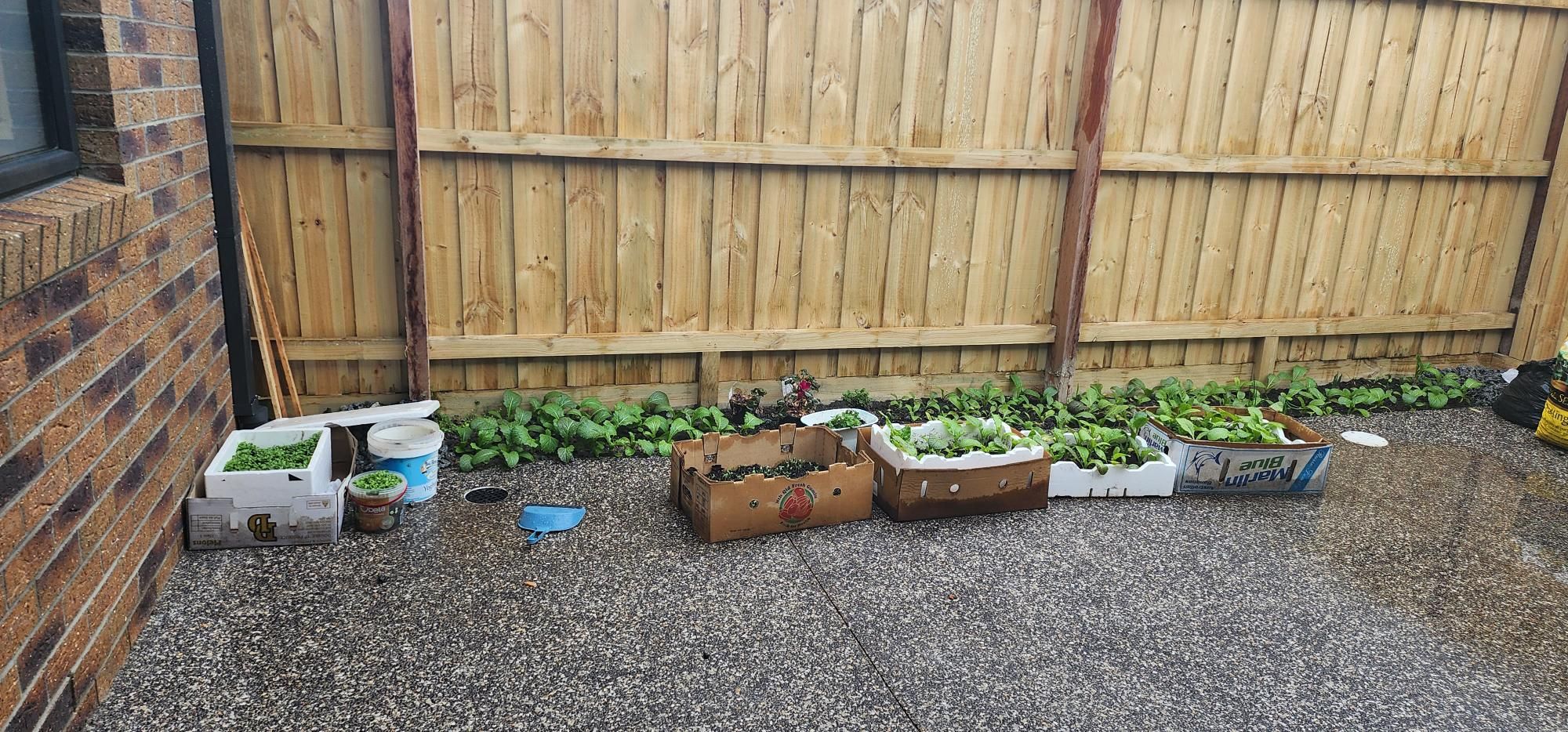 Solved How to build a garden bed? Bunnings community