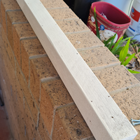 4.6 Paint timber length.png