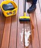 DeckCleaner.jpg