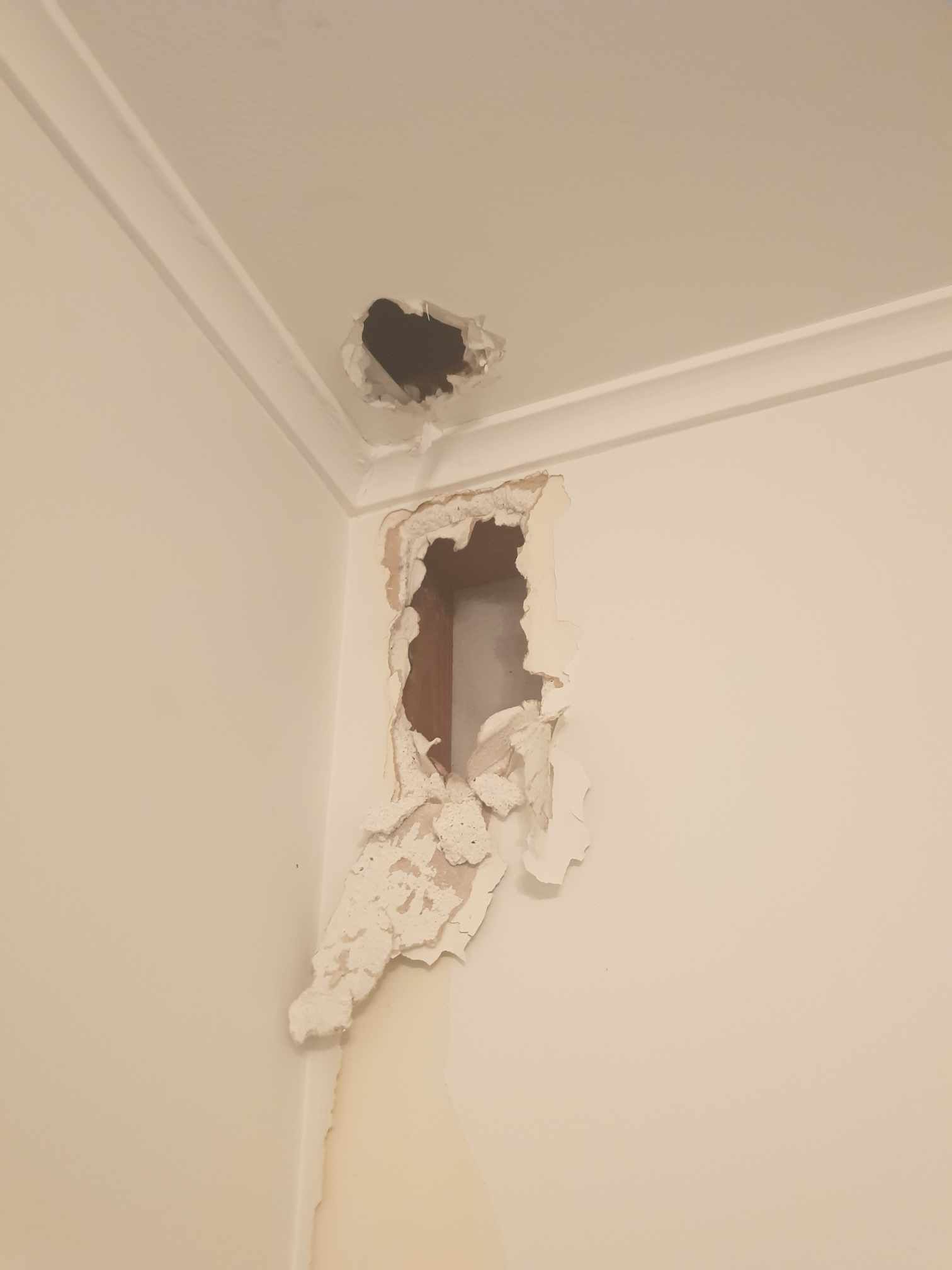 How to patch holes in wall and celling? Bunnings community