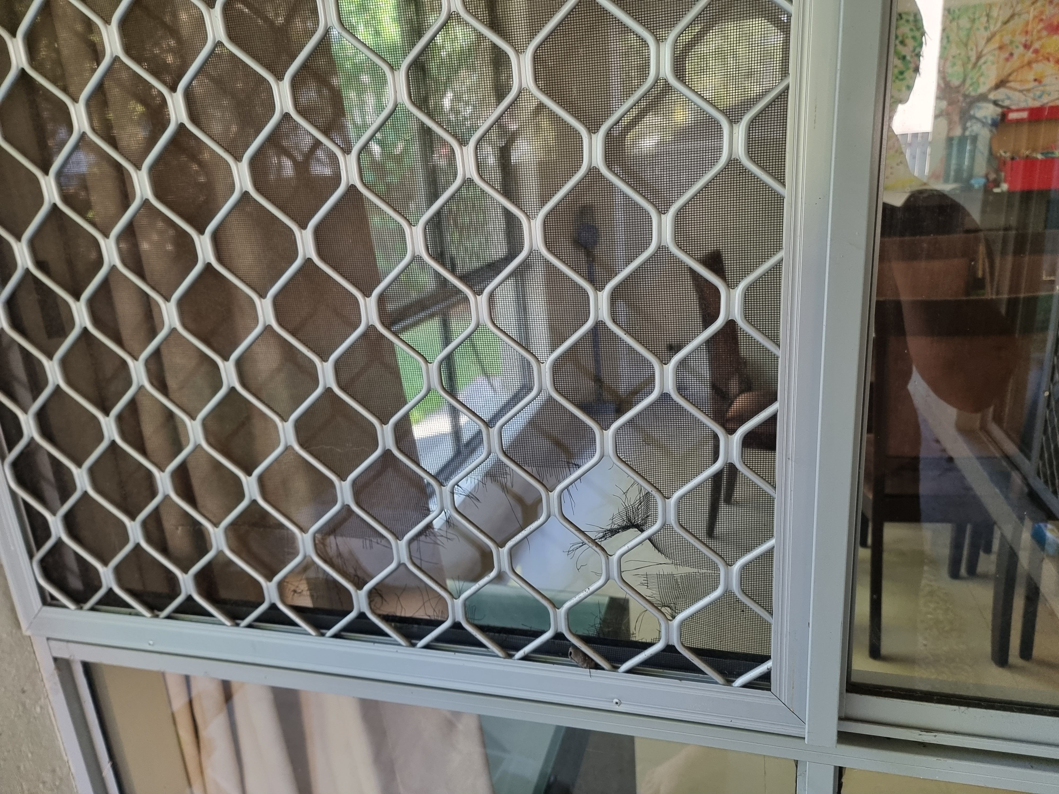 How to remove a fly screen? Bunnings community