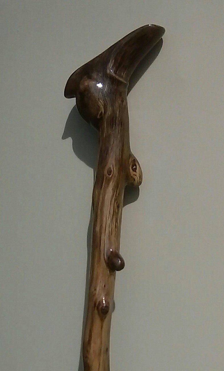 Timber Burl finish epoxy or varnish ? Bunnings community