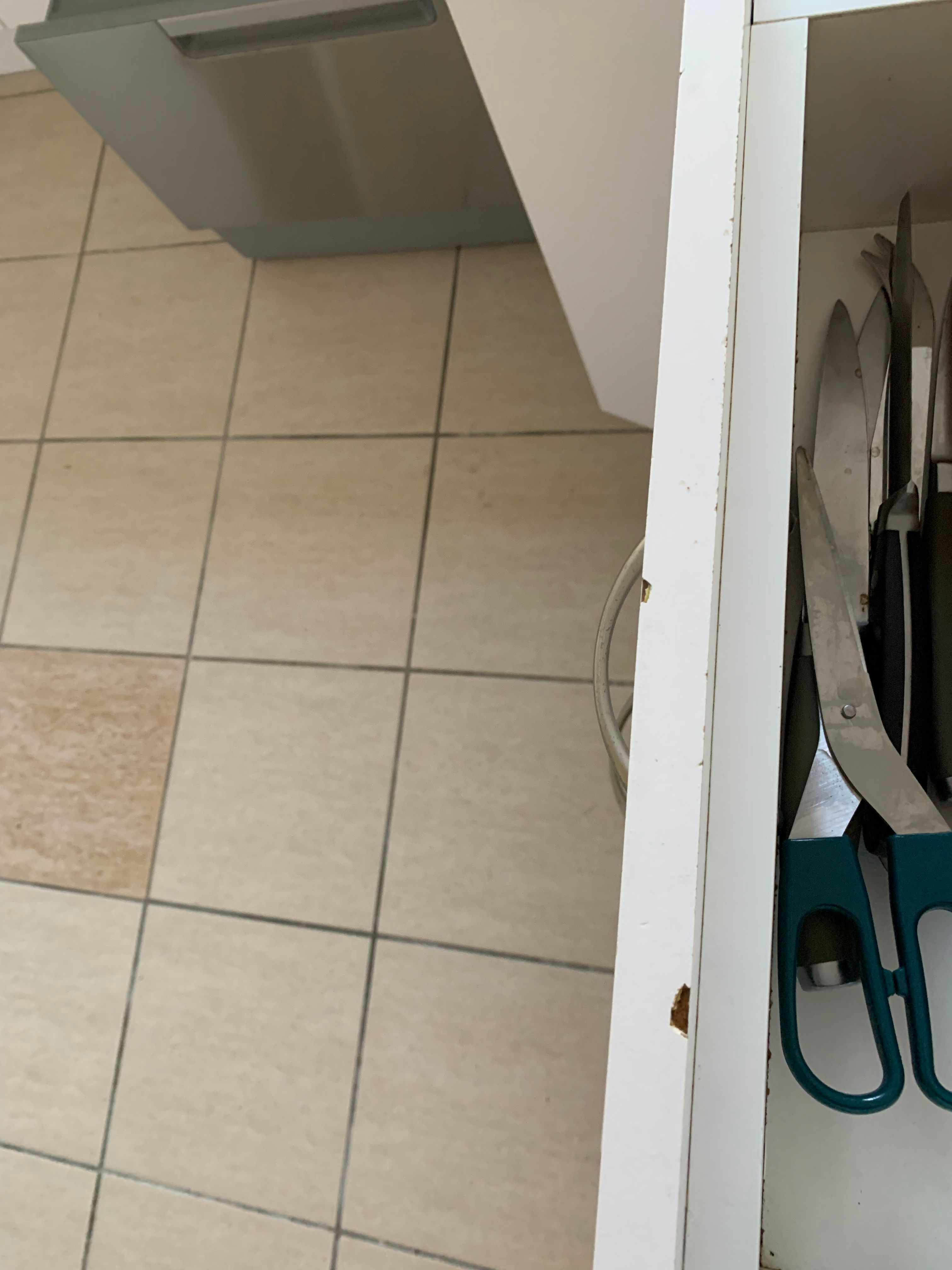 How to repair chips in melamine? Bunnings community