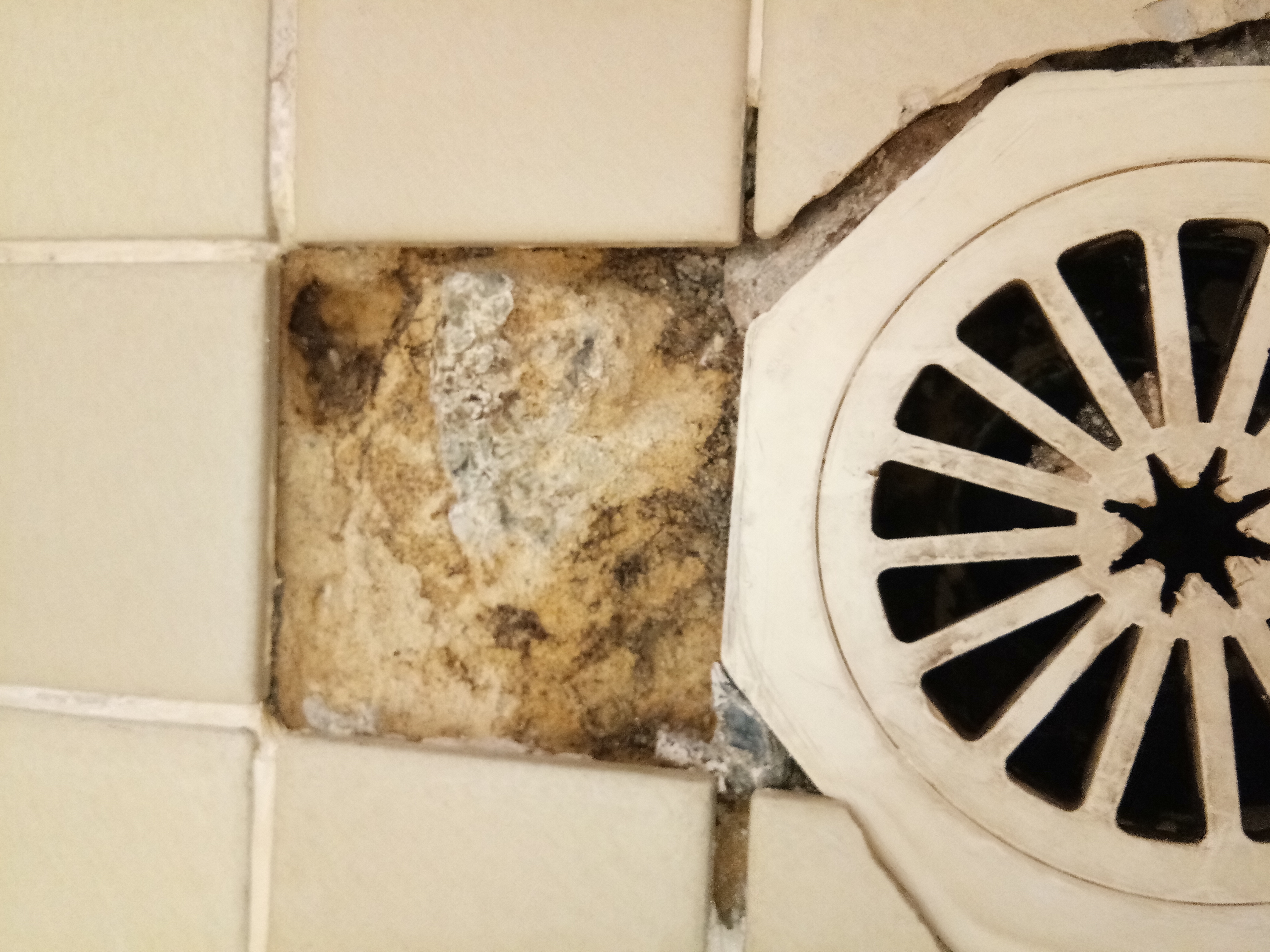 Re grout dodgy tiles Bunnings community