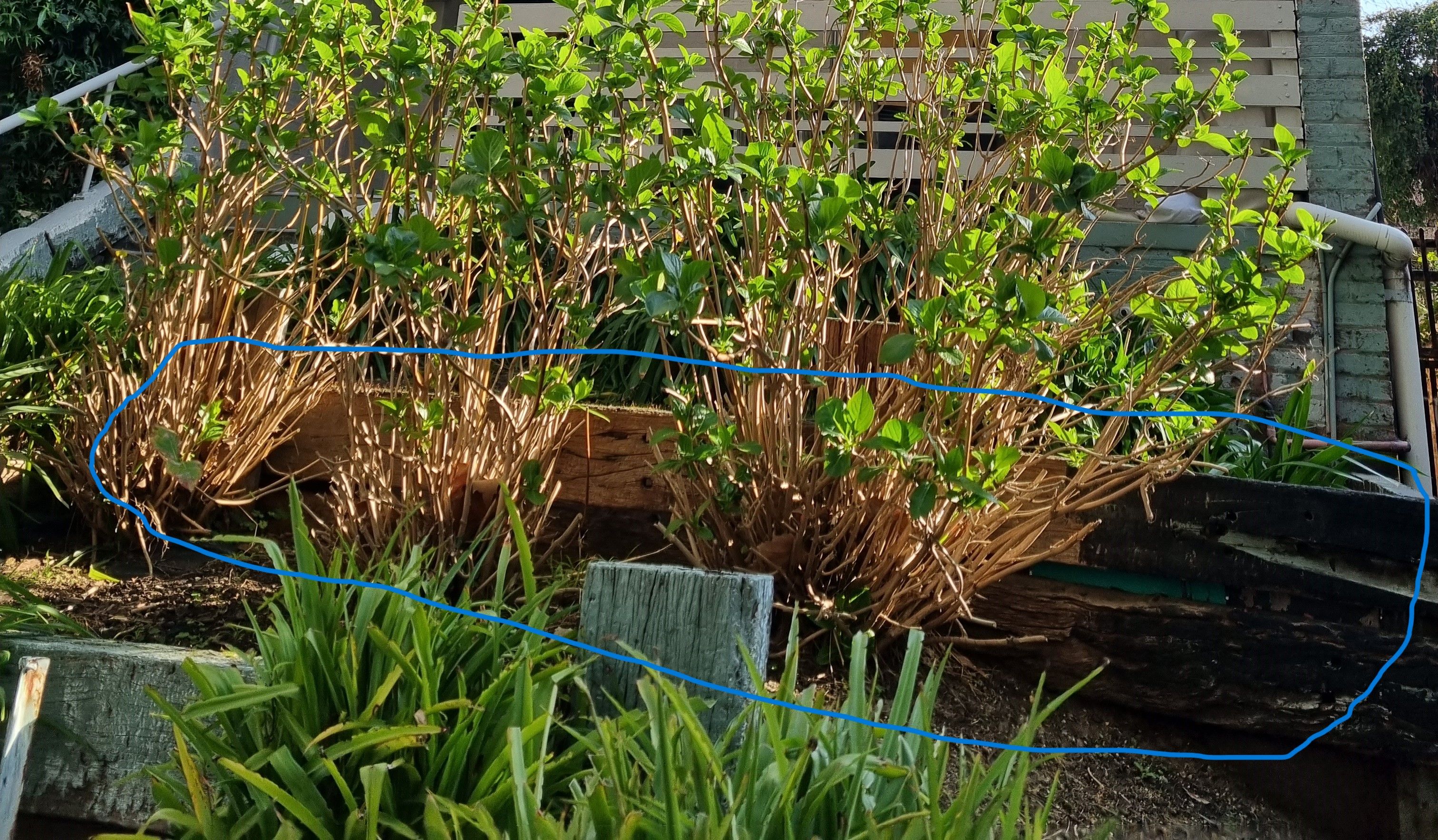 How to repair a retaining wall? Bunnings community