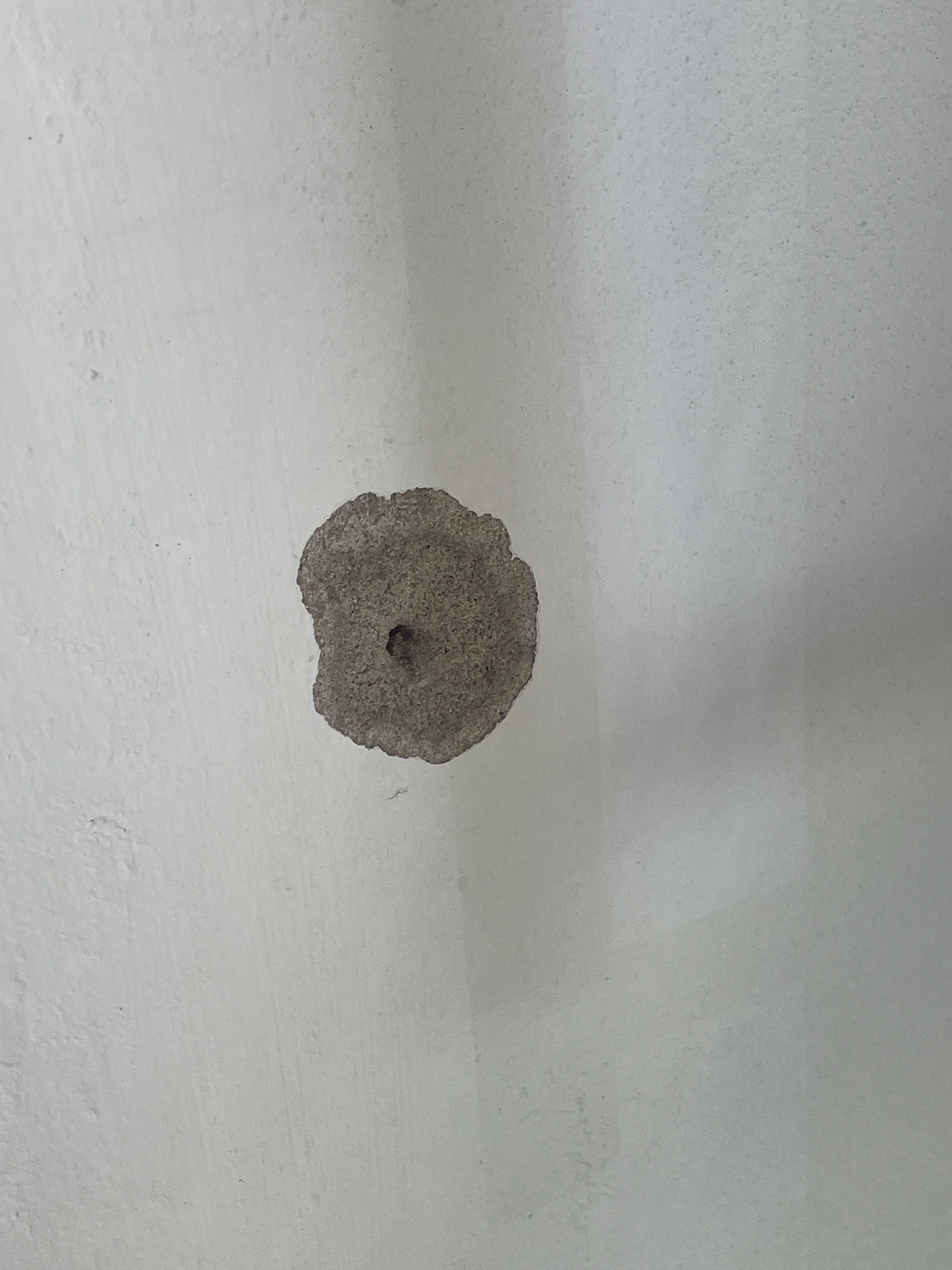 How to patch a hole in concrete wall? Bunnings community