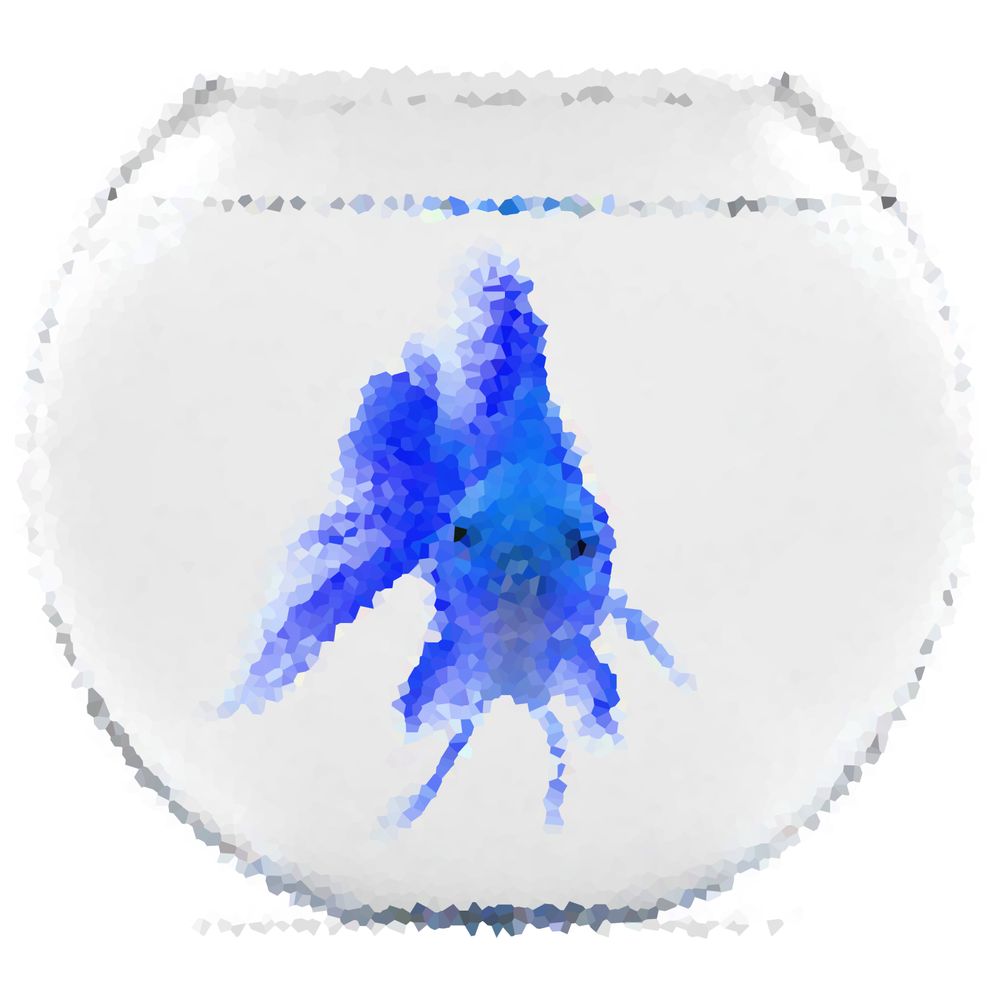 Goldfish-blue.jpg