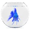 Goldfish-blue.jpg