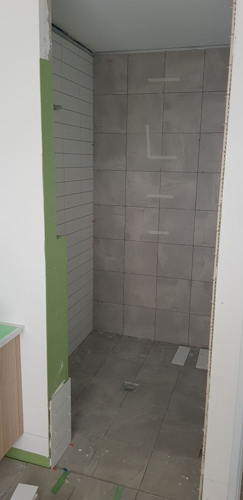 Ensuite shower with feature wall