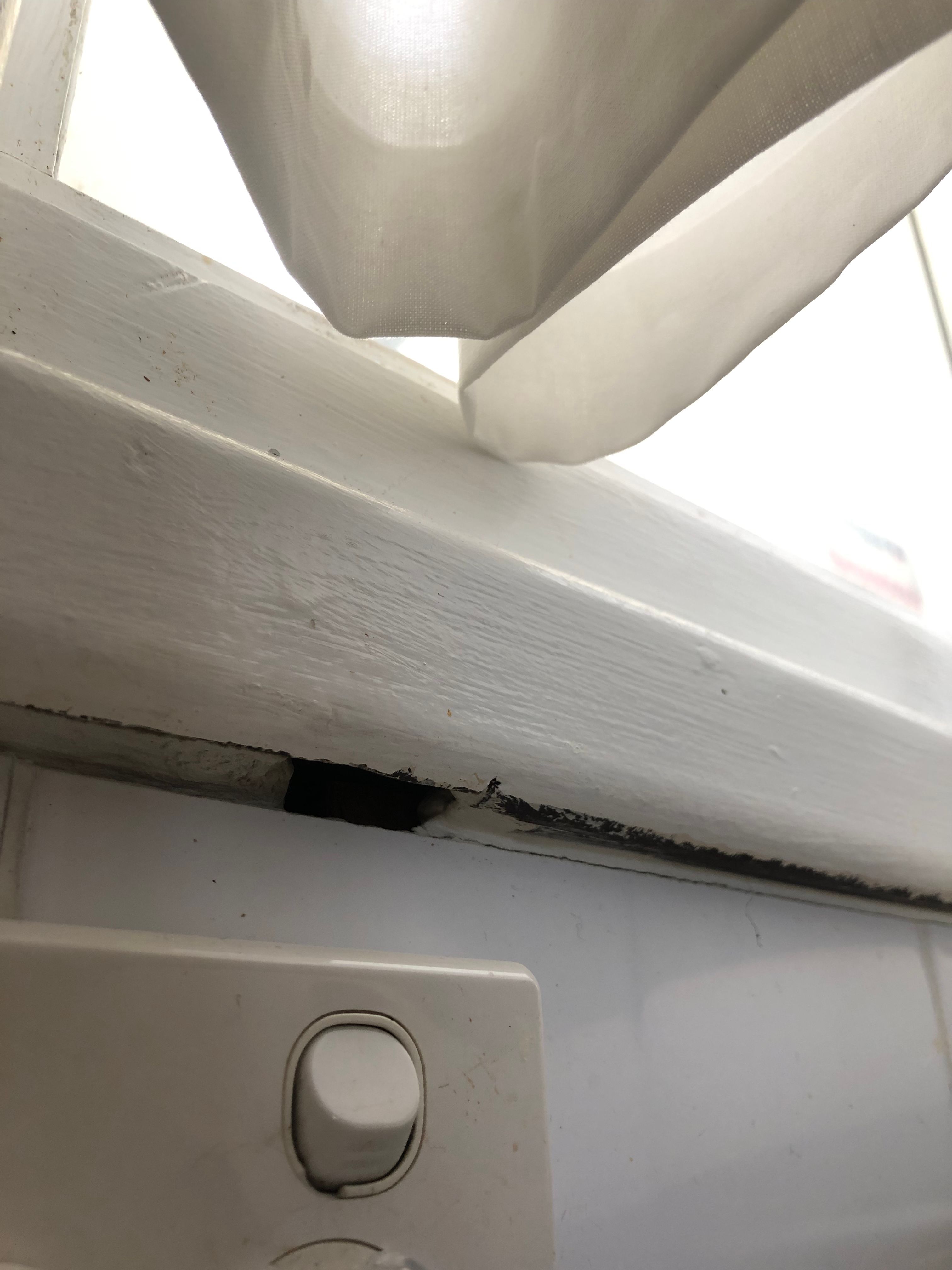 What are the best ways to fill these gap... Bunnings community