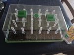Propagator - $9!!