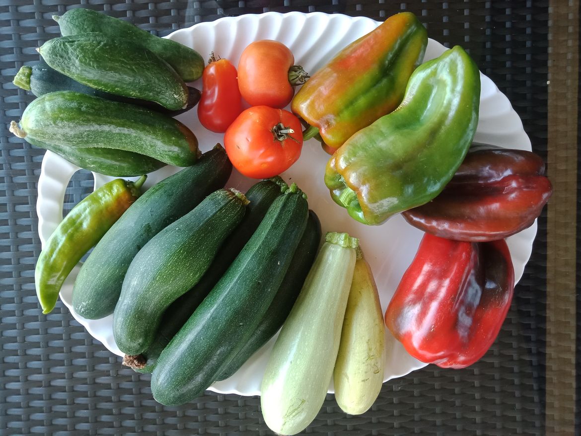 The reward each morning