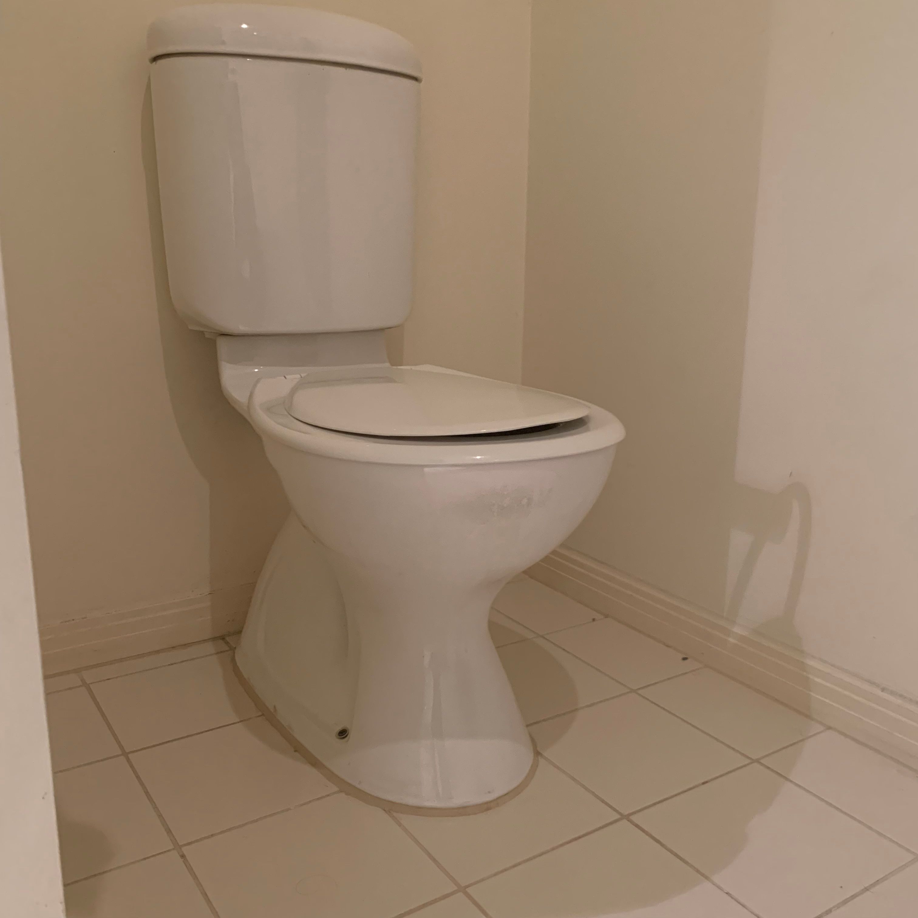 How to replace a toilet cistern? Bunnings community
