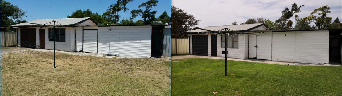 Trying to get the lawn looking better