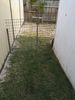 Made this temporary gate last week - just to keep our dog from the back sheds as one of the back neighbours has chickens - and sometimes they end up over my fence as they roost high in a tree near the fenceline lol