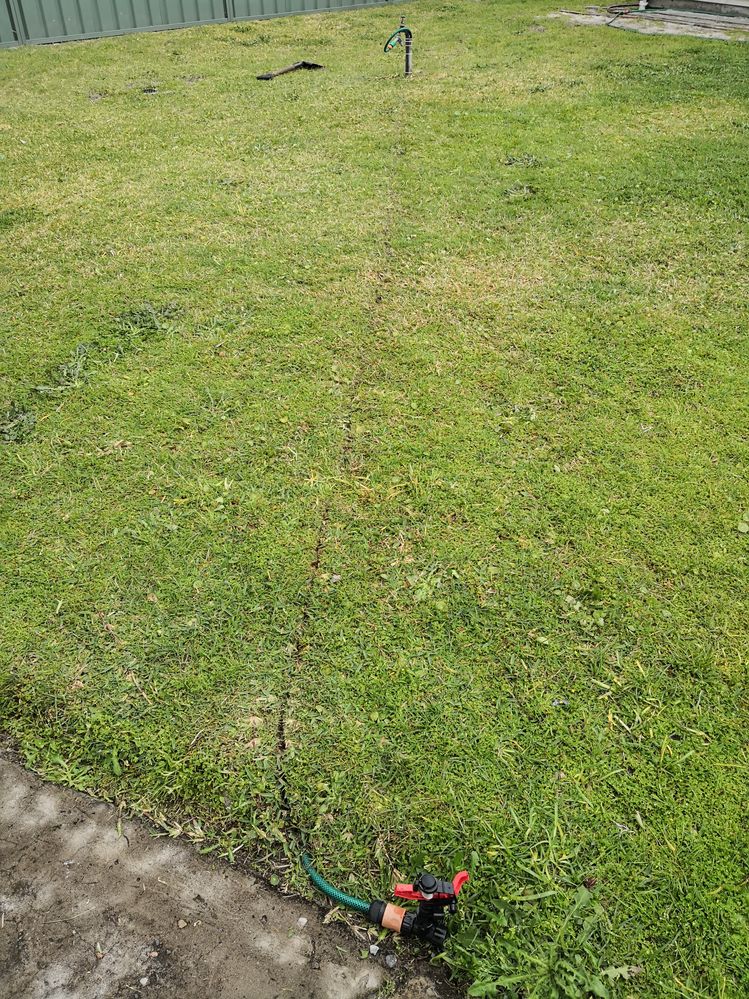 temporary fix (buried garden hose) until i dig up half the yard and figure out whats going on with the original proper irrigation system