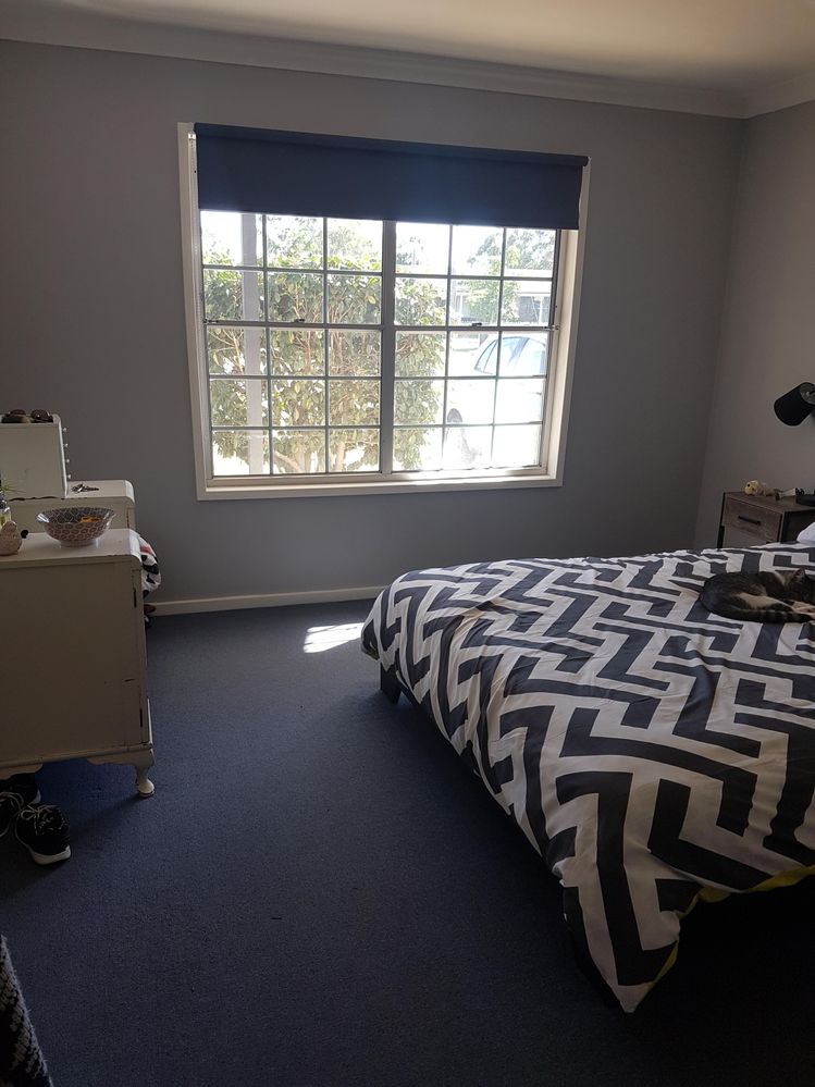 first room I tried lots of bogwork in the walls and ceiling and windowframes where there was a big hole left from a old security shutter that no longer exists