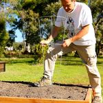 4.1. Insert plant supports.jpeg