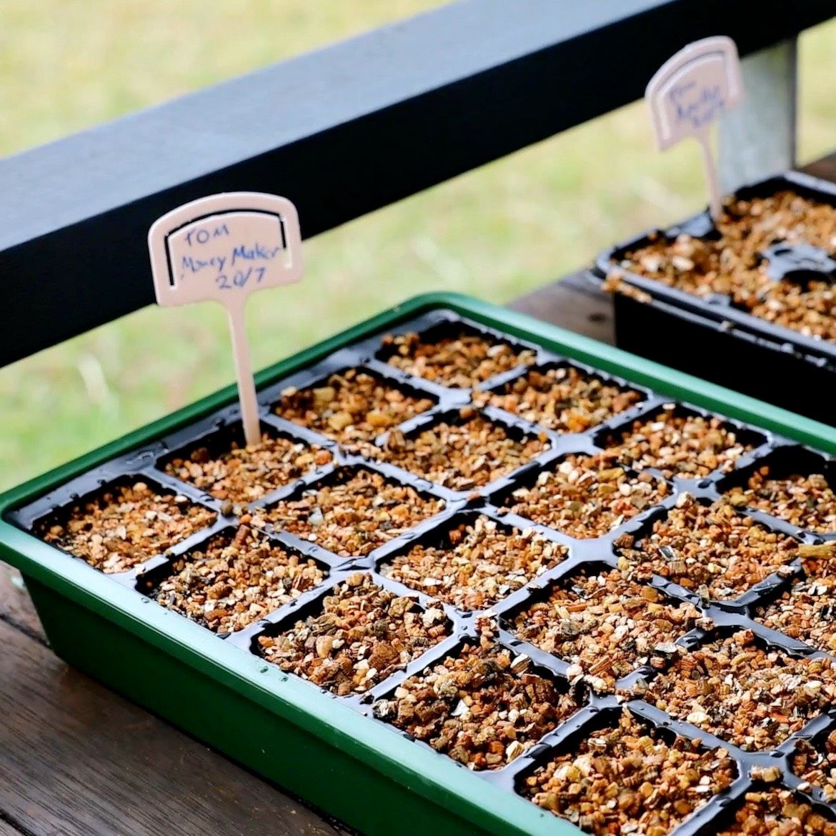 How to grow tomatoes from seed to harves... Bunnings community