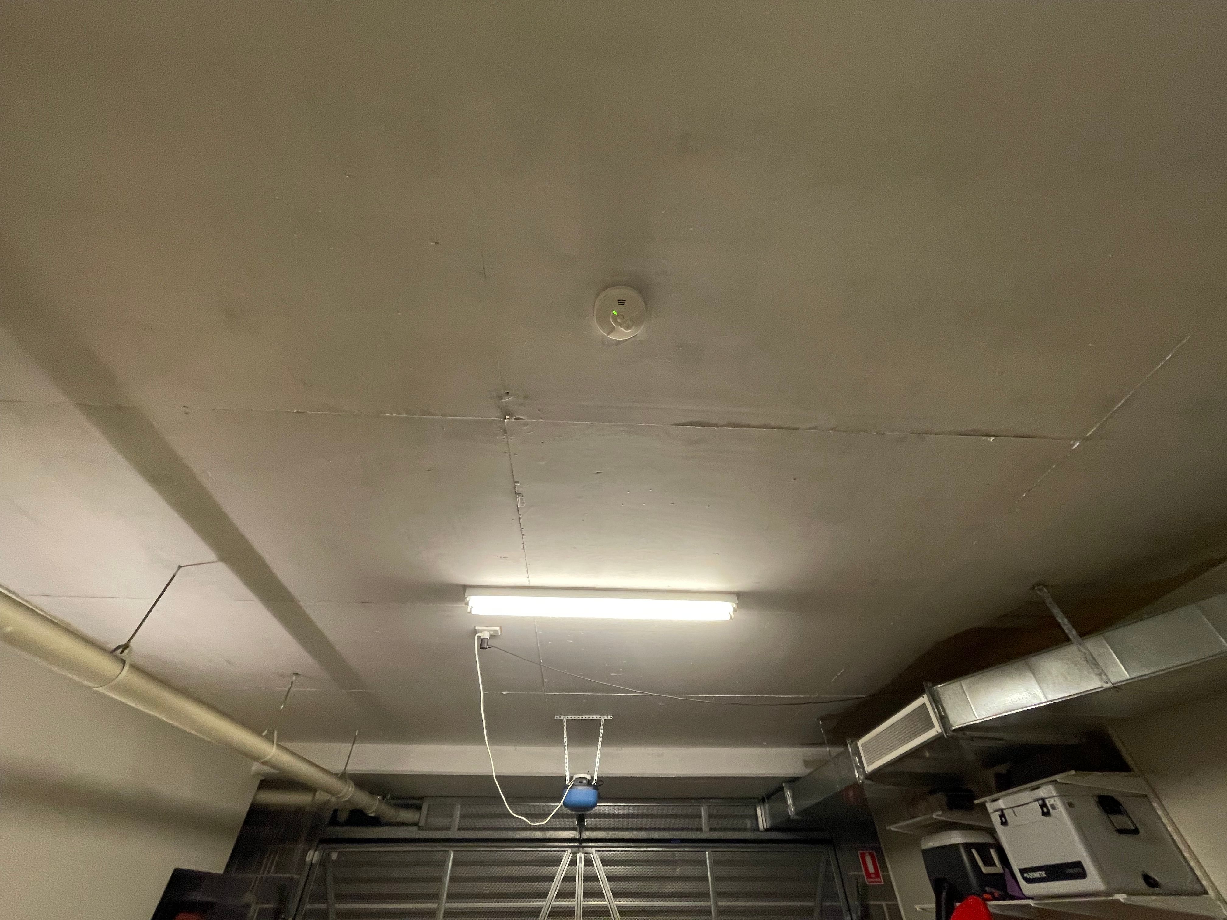 How to paint bare concrete ceiling in a Bunnings community