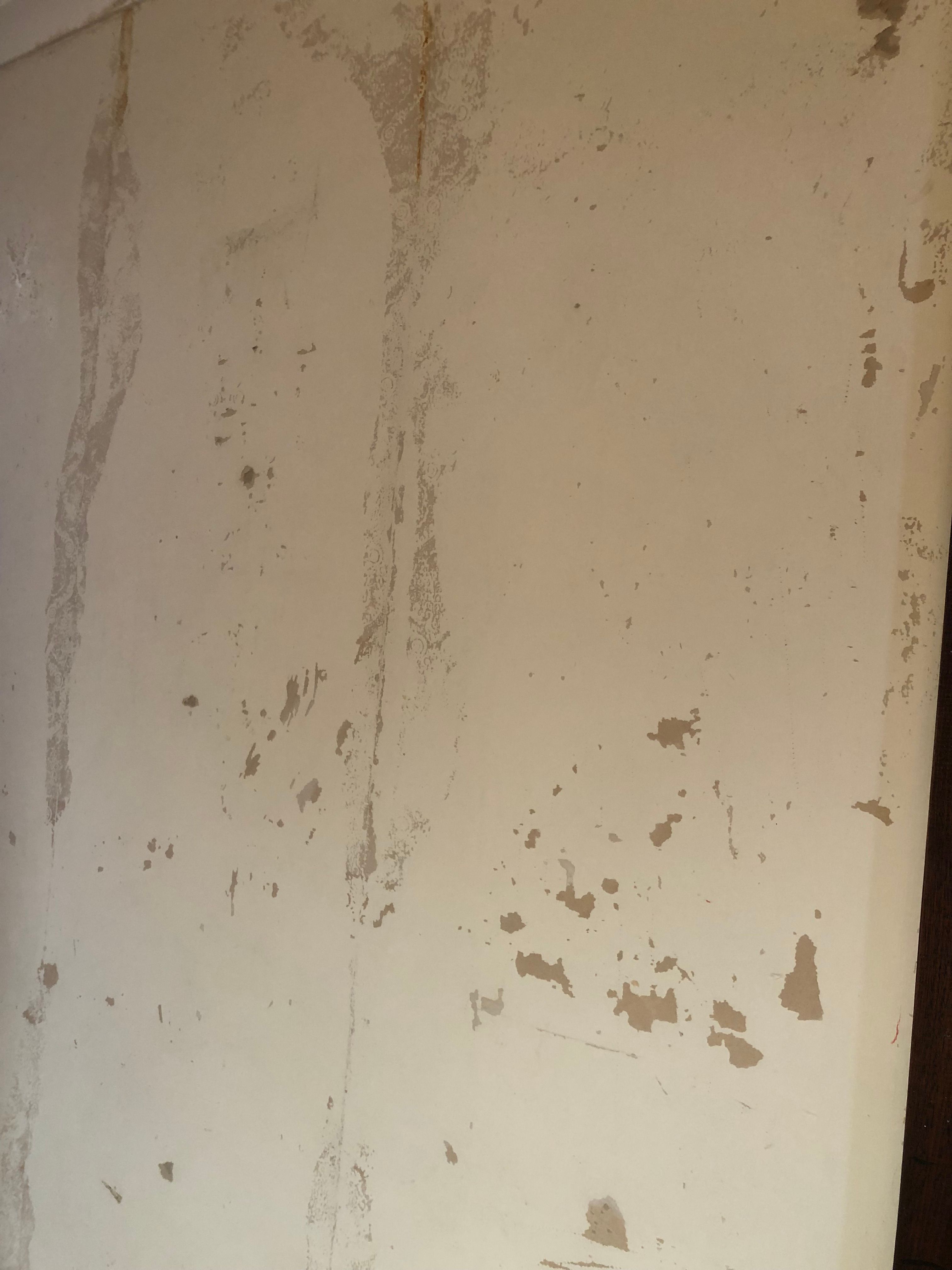 How to fix damaged drywall from wallpape... Bunnings community