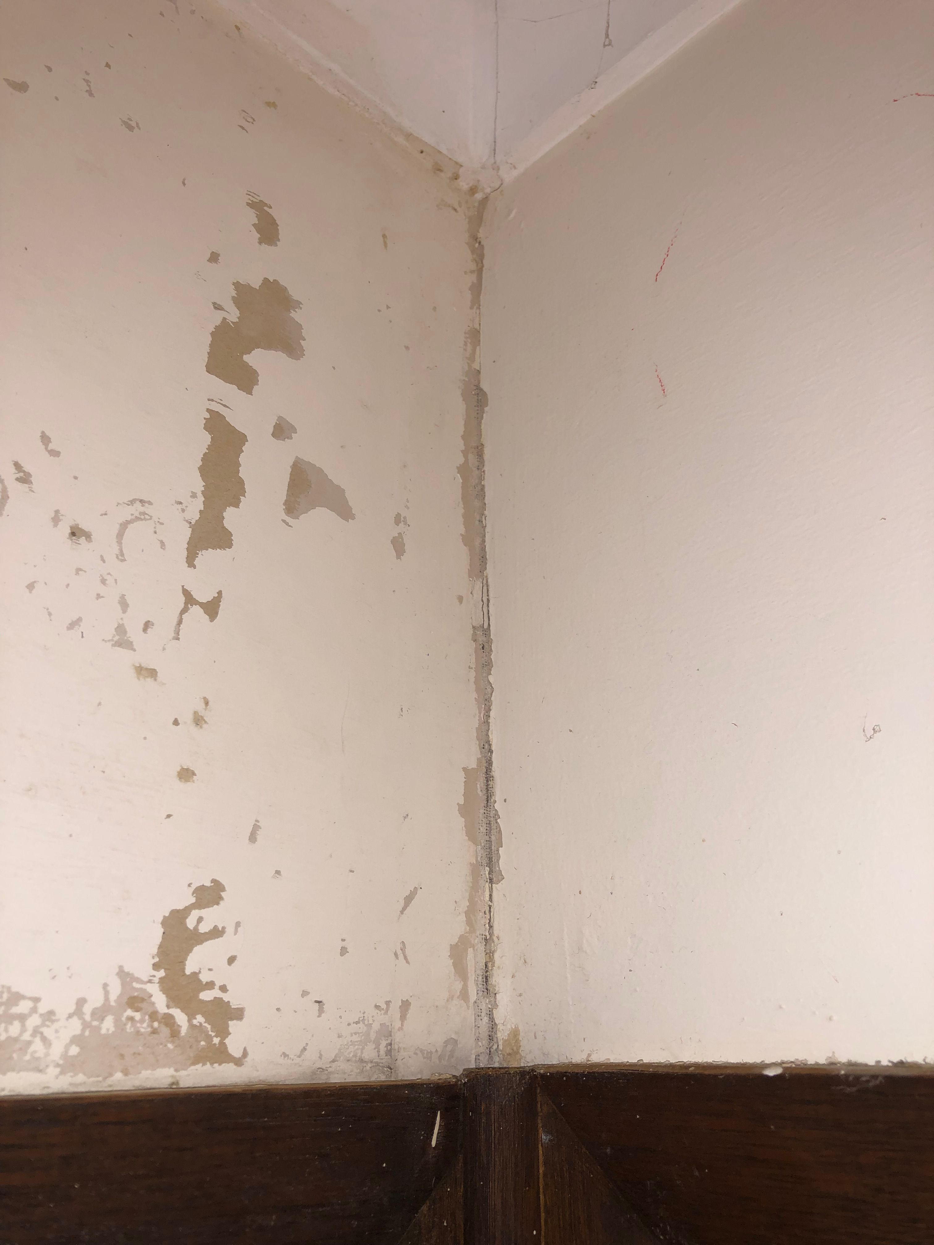 How to fix damaged drywall from wallpape... Bunnings community