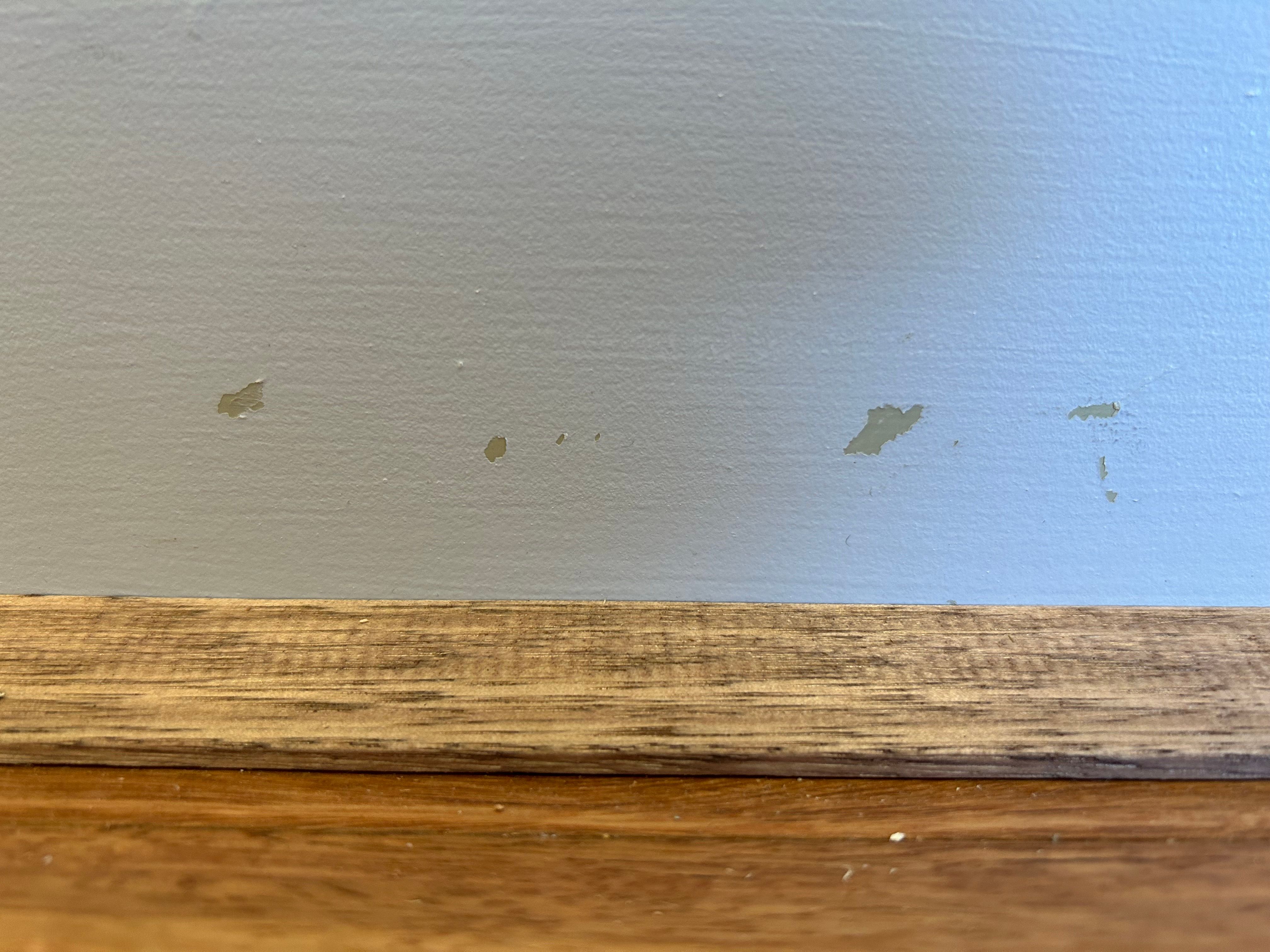 Patch or sand chipped paint on skirting? Bunnings community