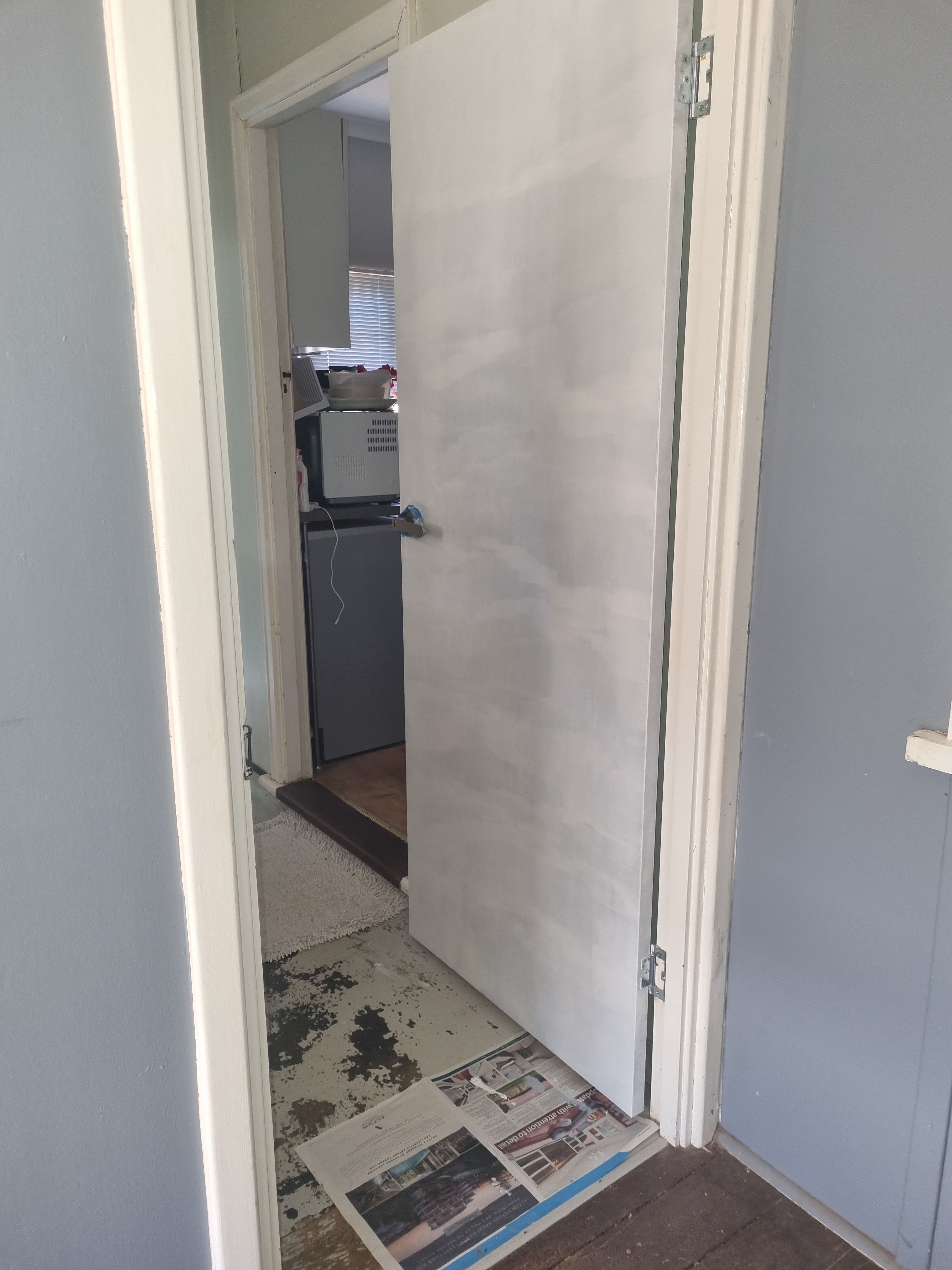 How to paint a Hume door? Bunnings community