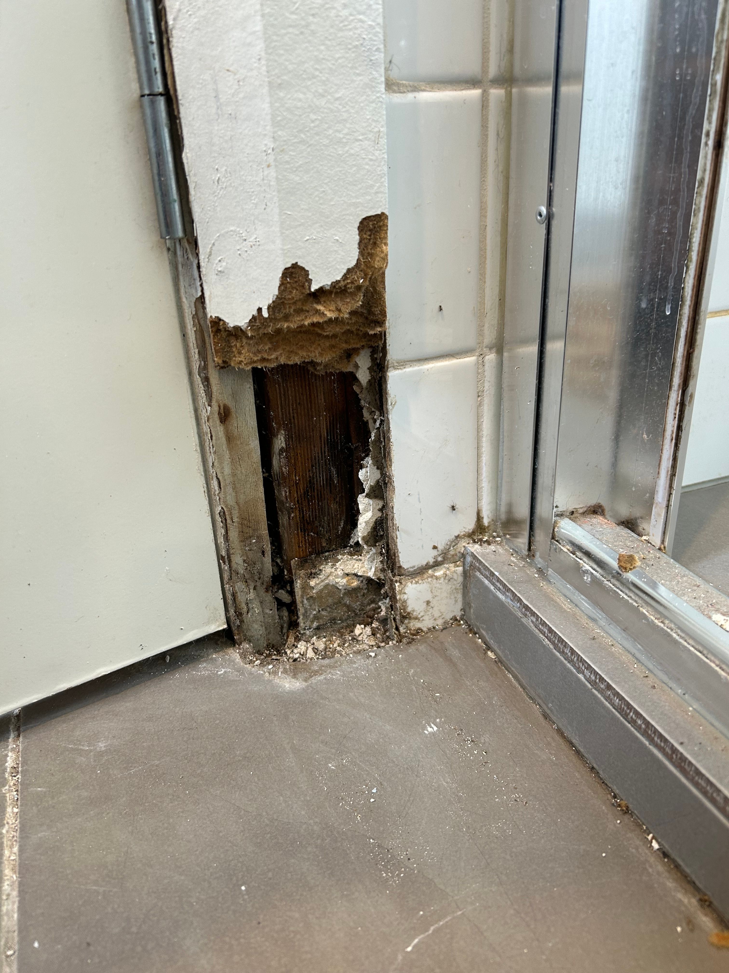 Bathroom door jamb (MDF) is swollen and Bunnings community