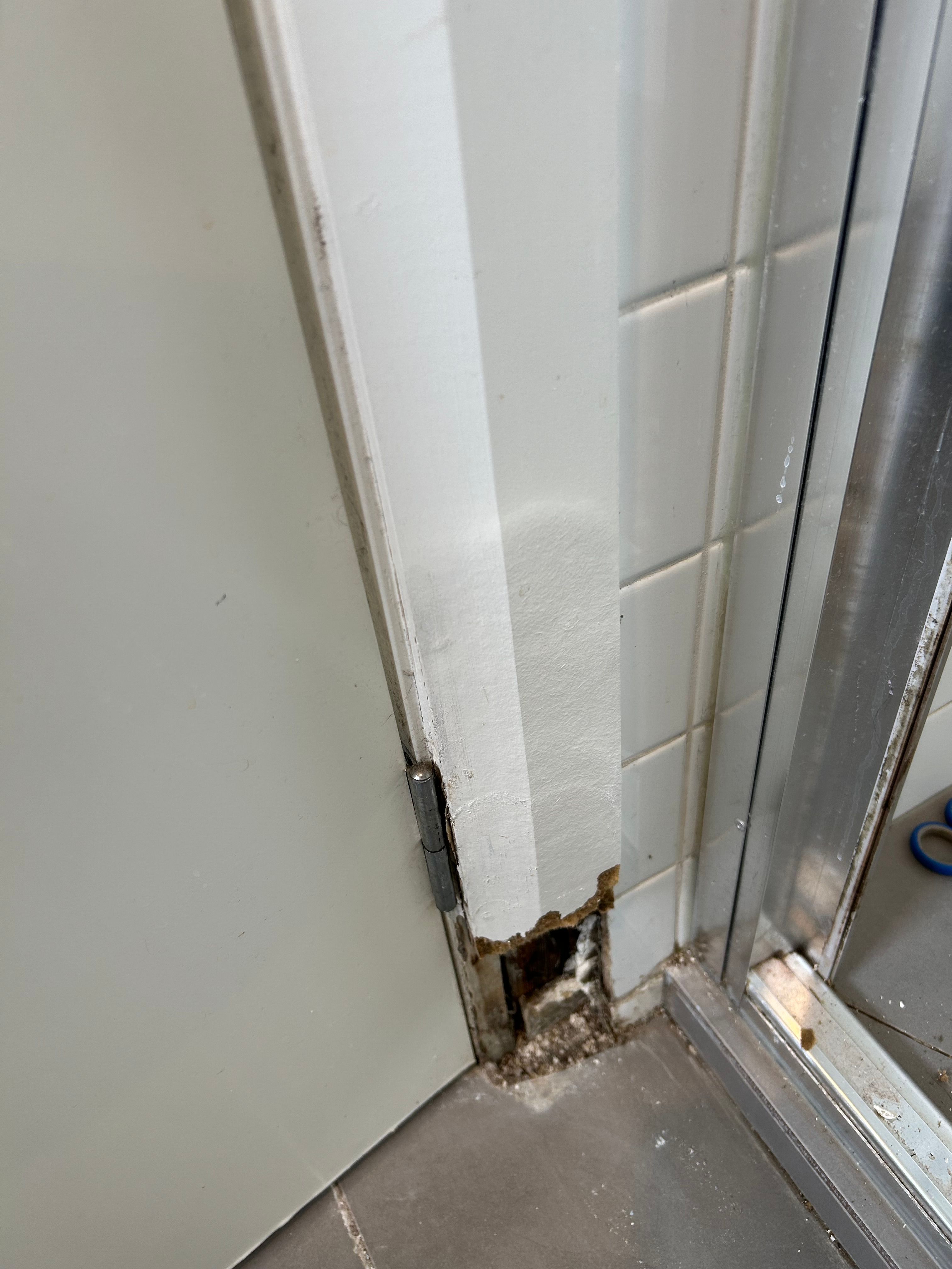 Bathroom door jamb (MDF) is swollen and Bunnings community