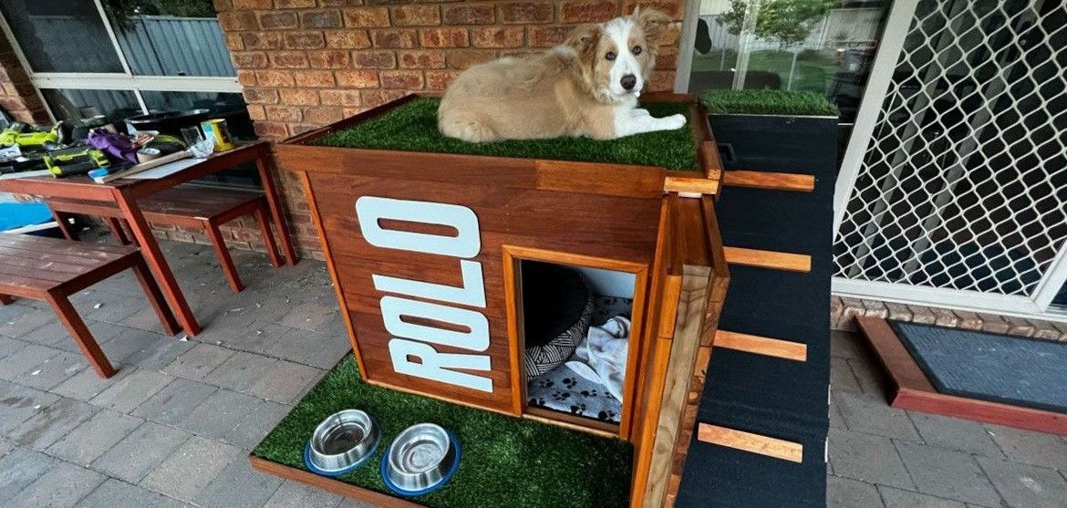 Dog kennels and beds Bunnings community