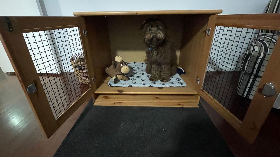 Puppy crate using upcycled TV cabinet.jpeg