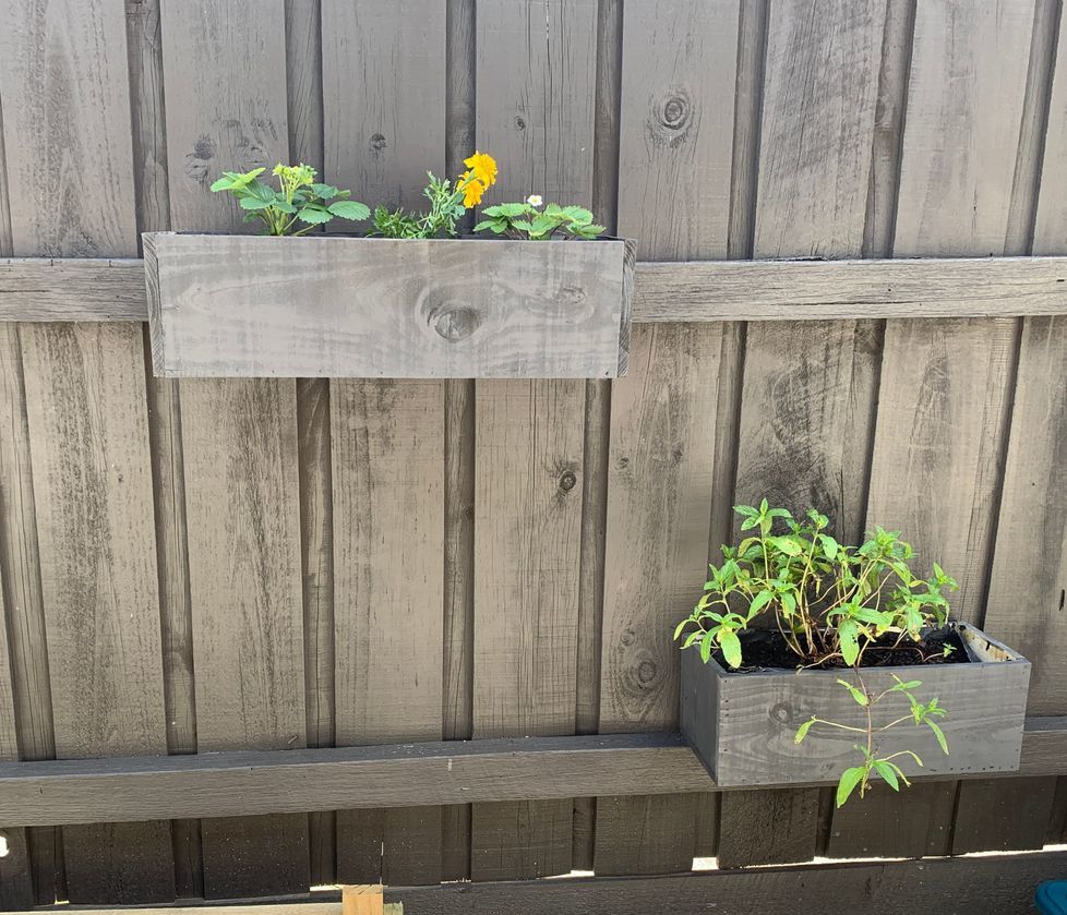 Fencemounted planter boxes Bunnings community