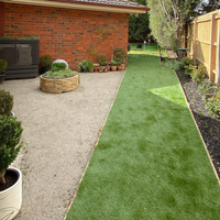 Side yard revamp with artificial grass
