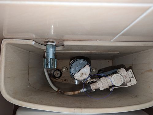 Old flush valve with clip holding inlet  - top view