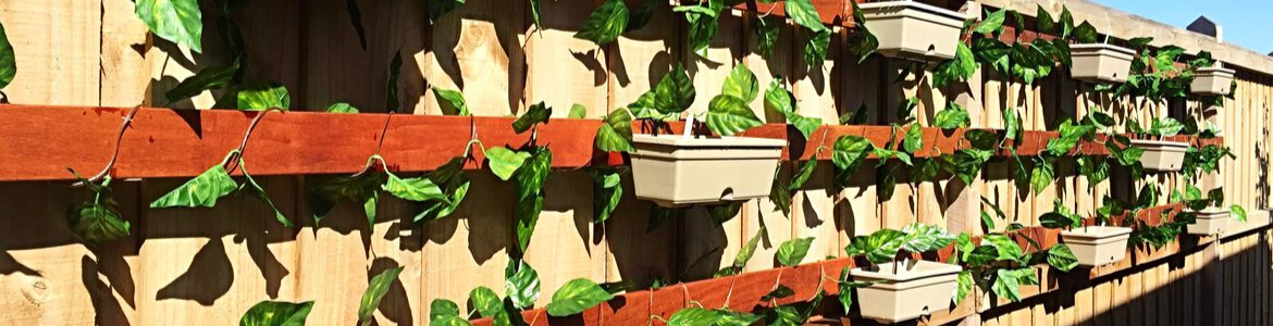 Top 10 most popular vertical garden projects.png