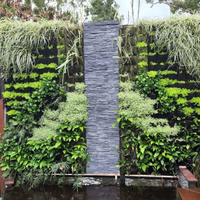 Outdoor entertaining area with vertical garden and pond
