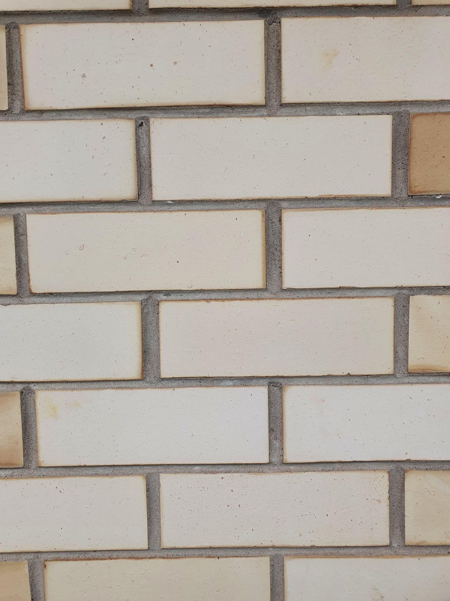 Do my bricks need repointing before I pa... Bunnings community