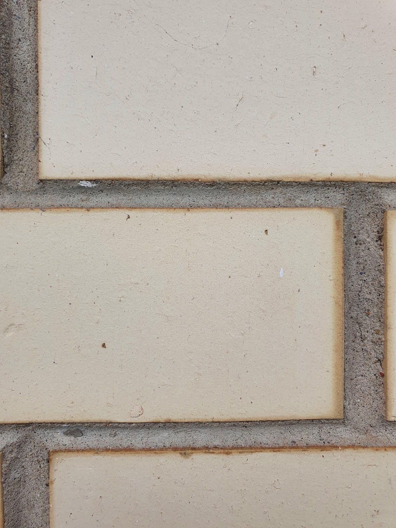 Do my bricks need repointing before I pa... Bunnings community