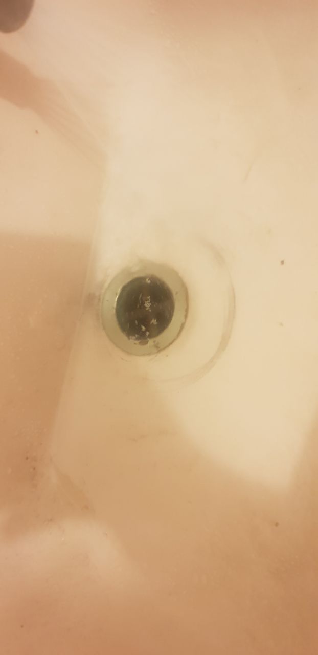 How to unclog blocked toilet and bathroo... Bunnings community