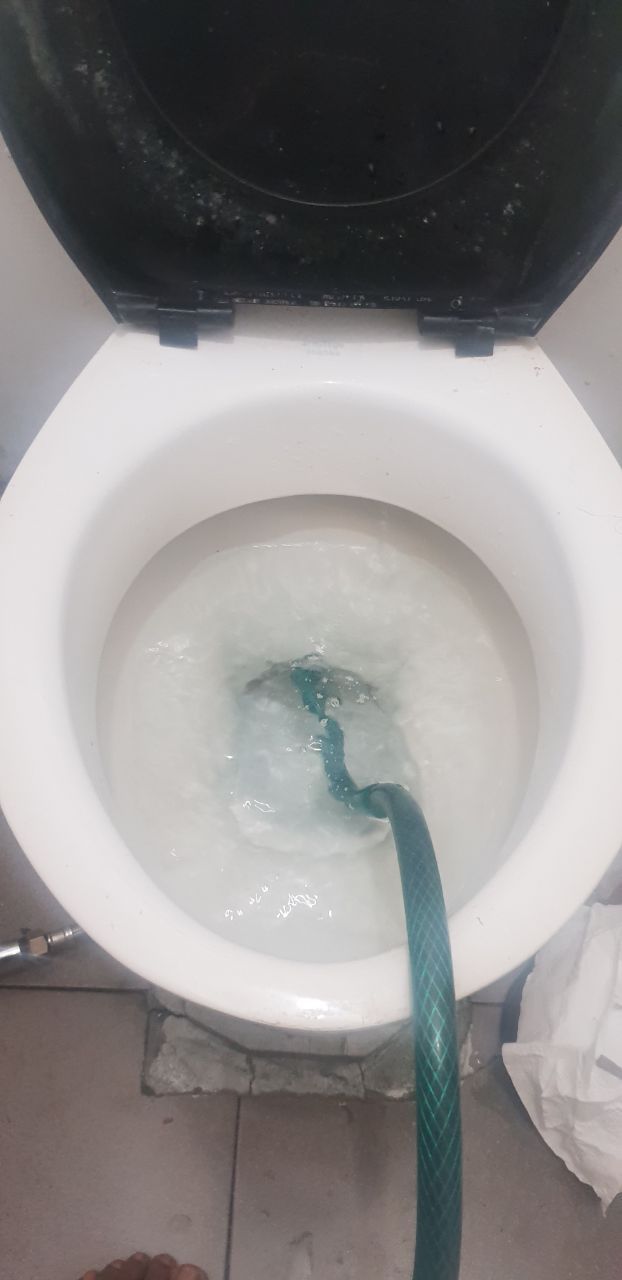 How to unclog blocked toilet and bathroo... Bunnings community